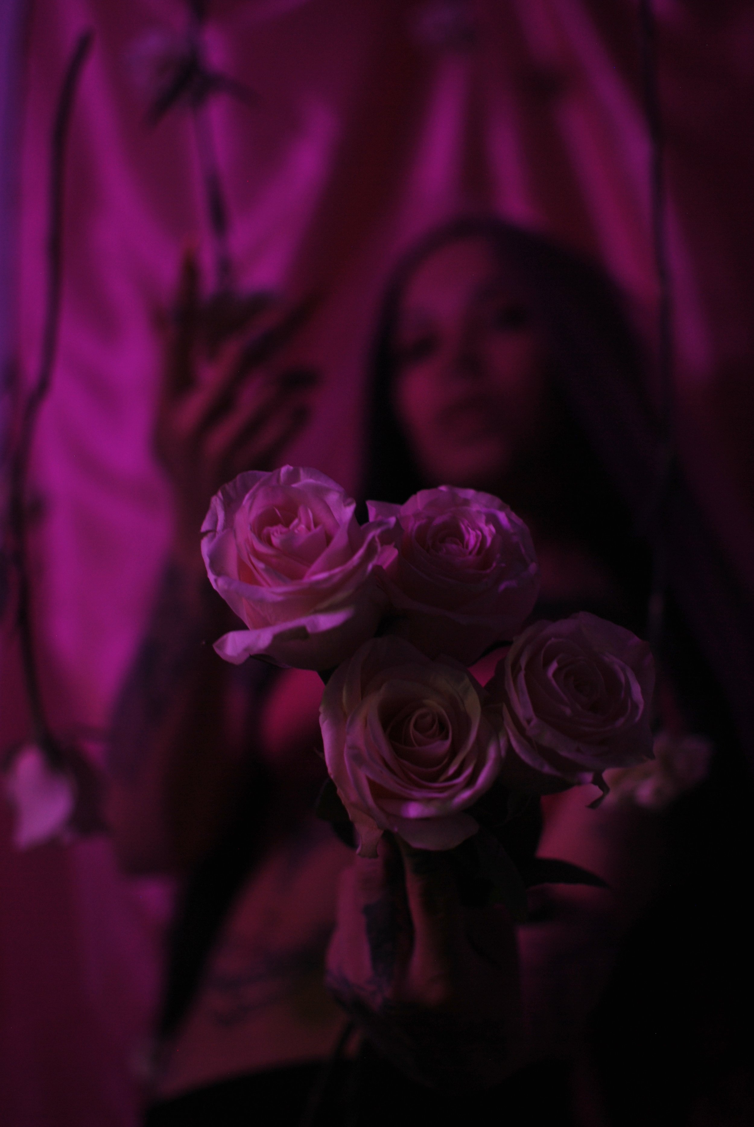 DSC_2704 2.jpeg