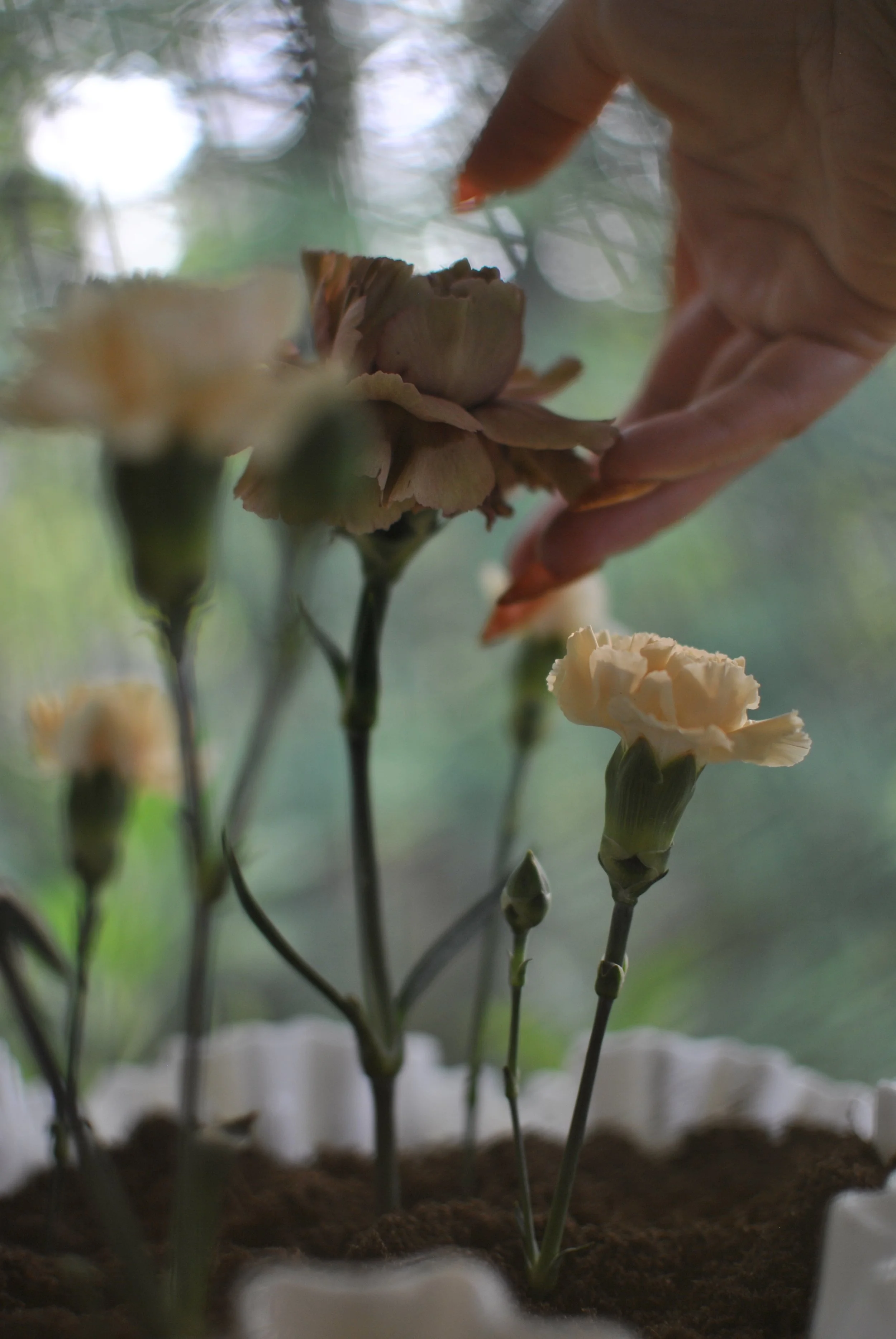 Energetic Wellness + Why it Matters (Especially for Creatives, Like You)