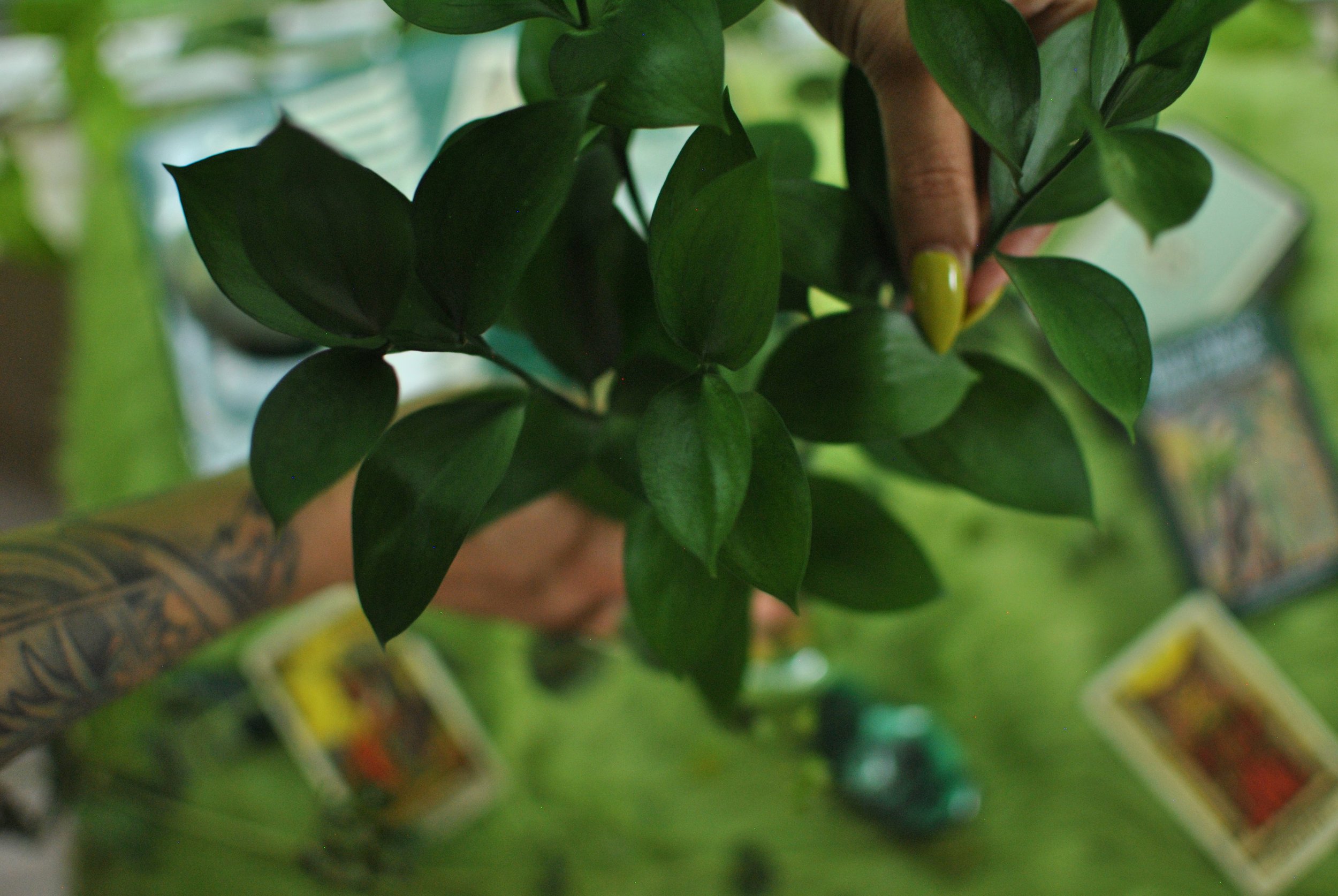 DSC_0941 2.jpeg
