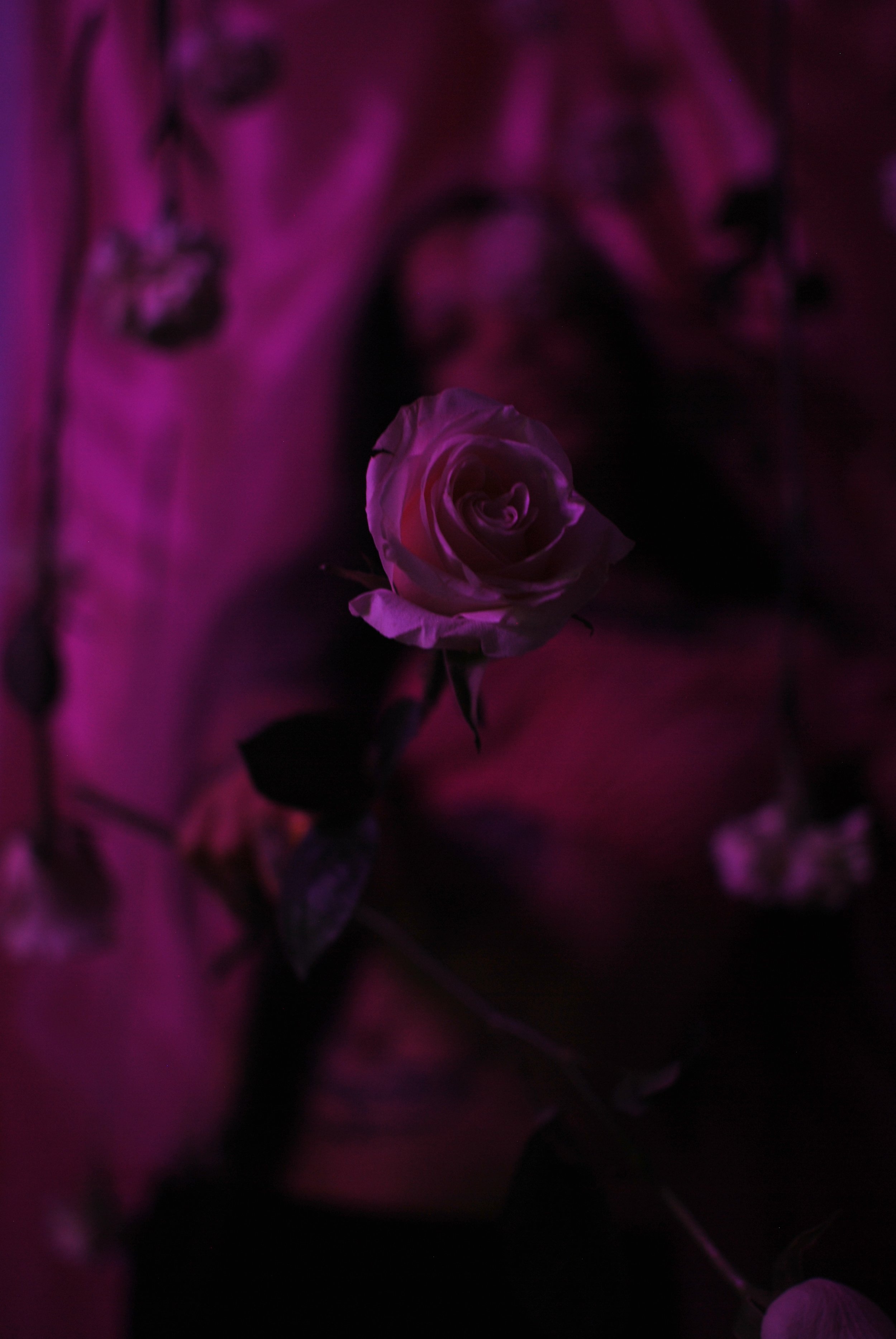 DSC_2715 5.jpeg