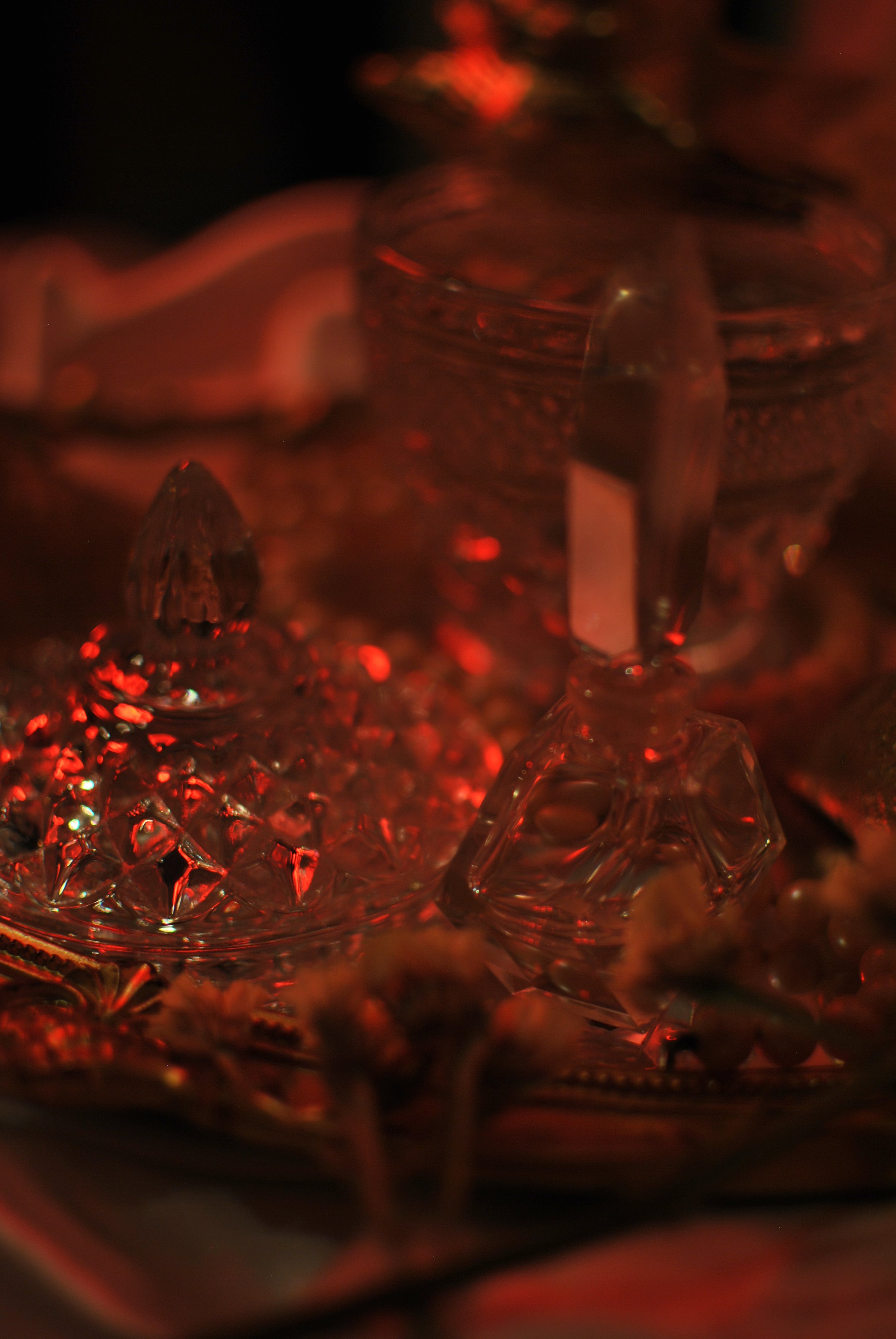 DSC_2620 2.jpeg