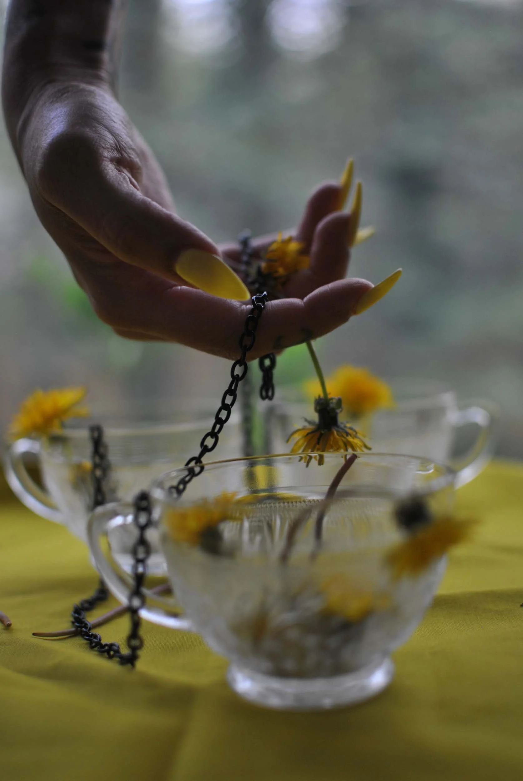 ritualographyspring3.jpg