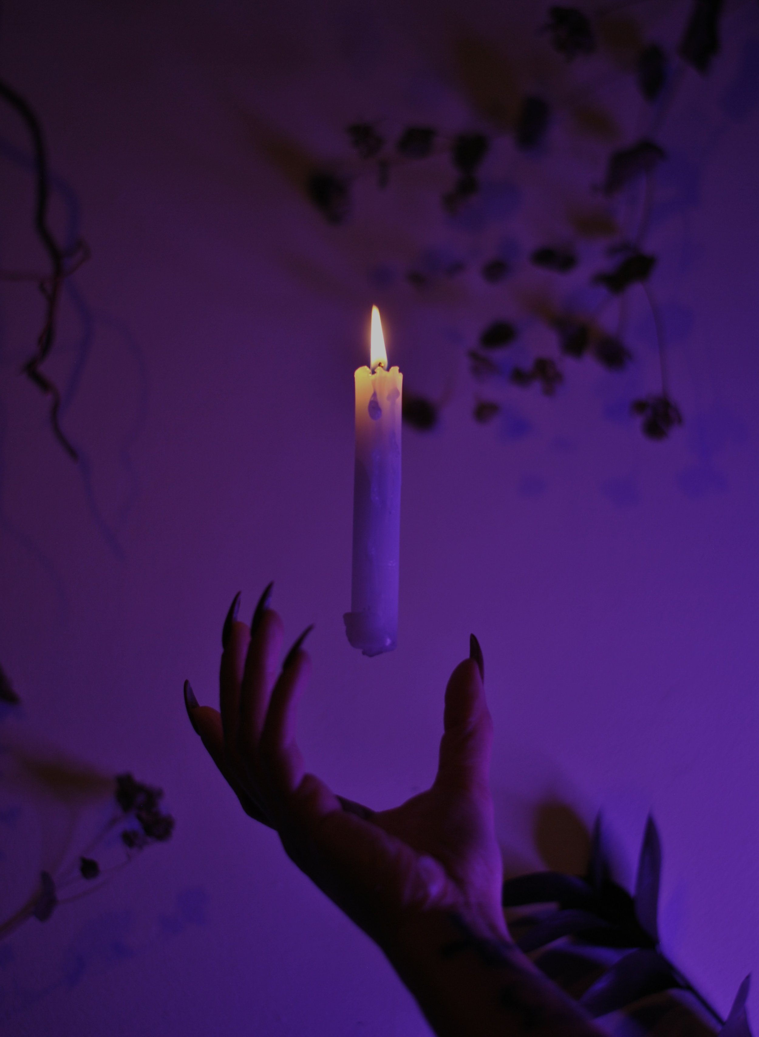 DSC_1576.jpeg