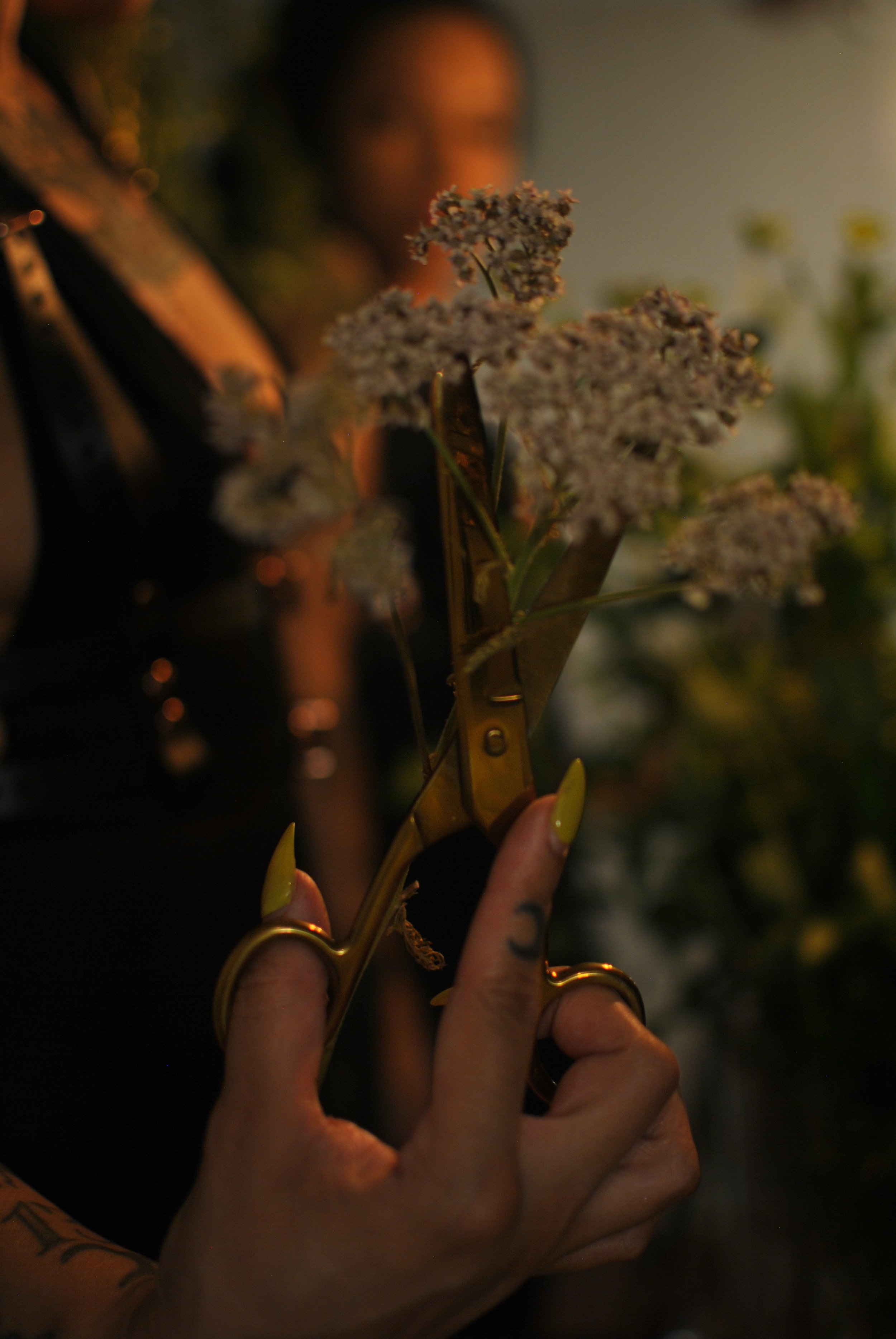 DSC_0999.jpeg