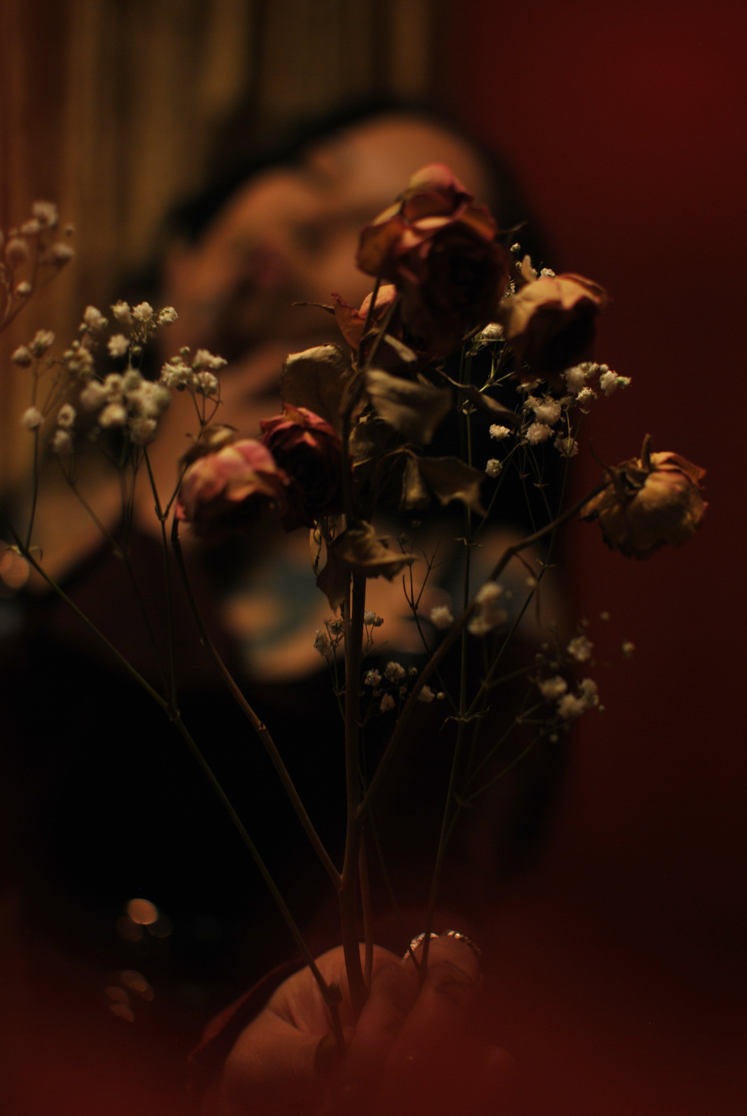 DSC_1900.jpeg