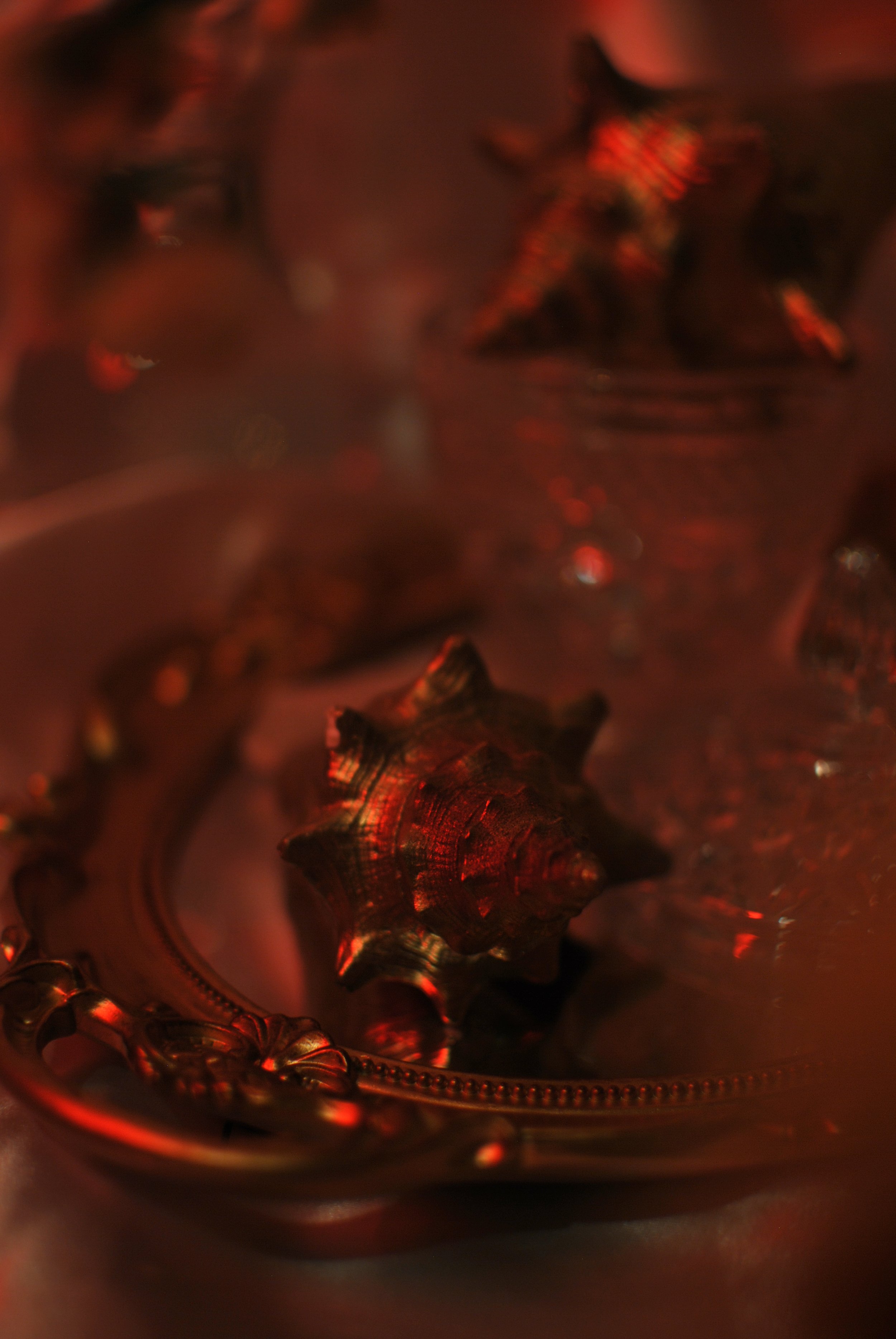 DSC_2554 2.jpeg