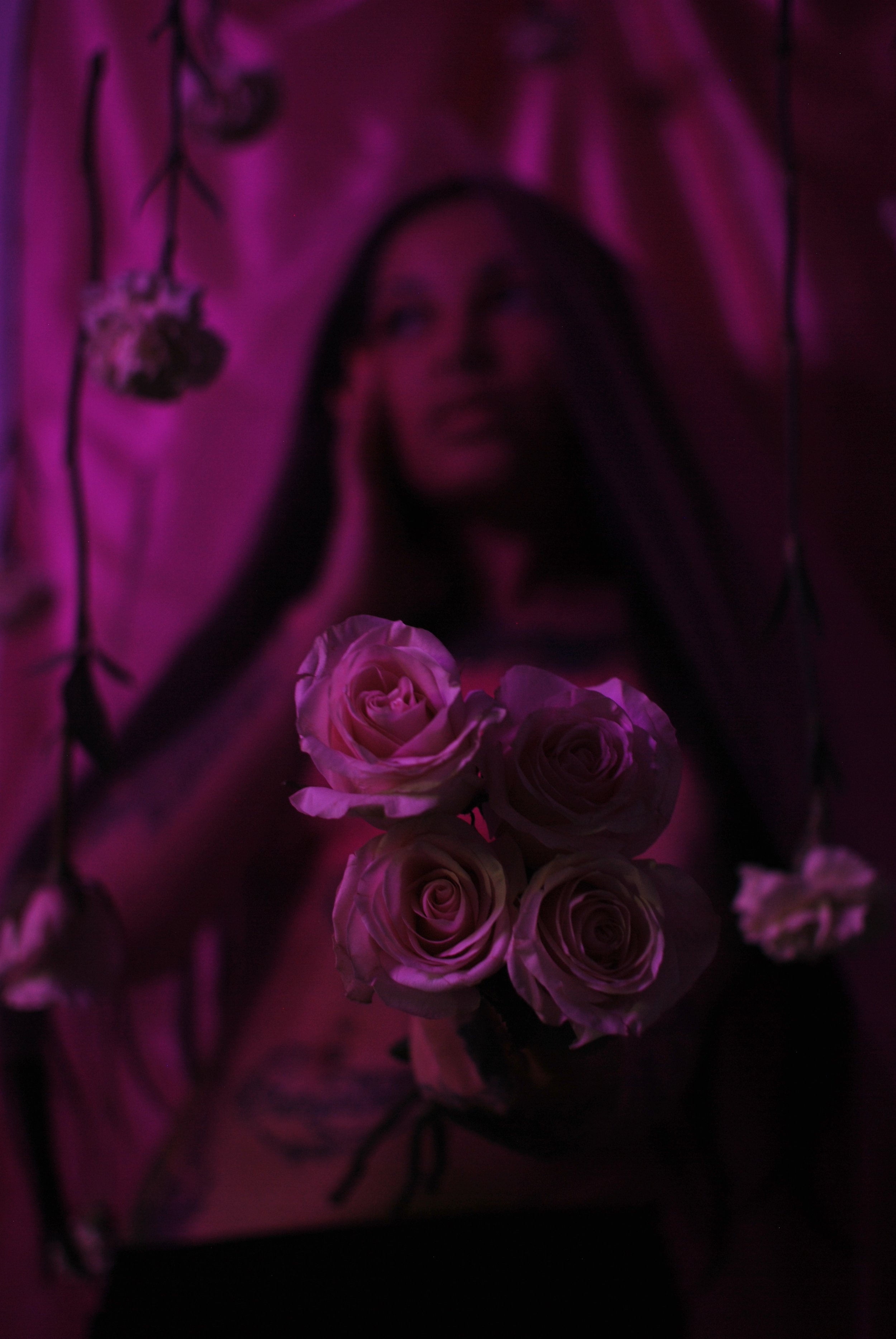 DSC_2698 2.jpeg