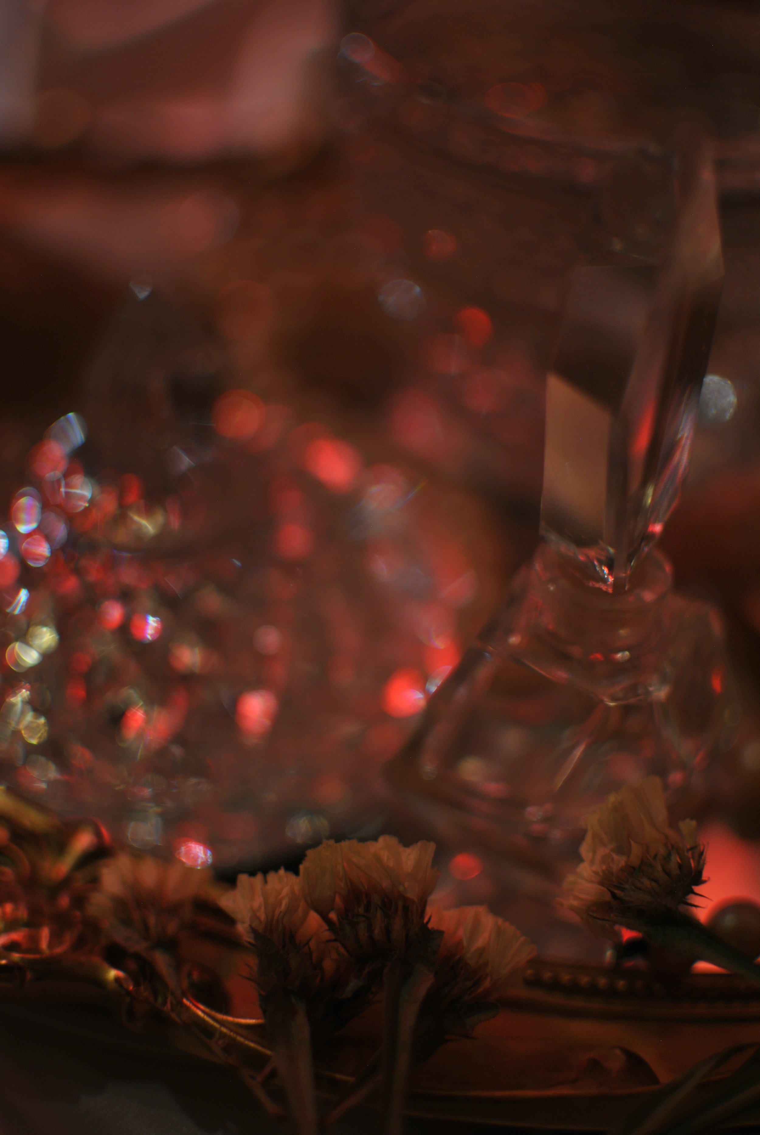 DSC_2610 2.jpeg