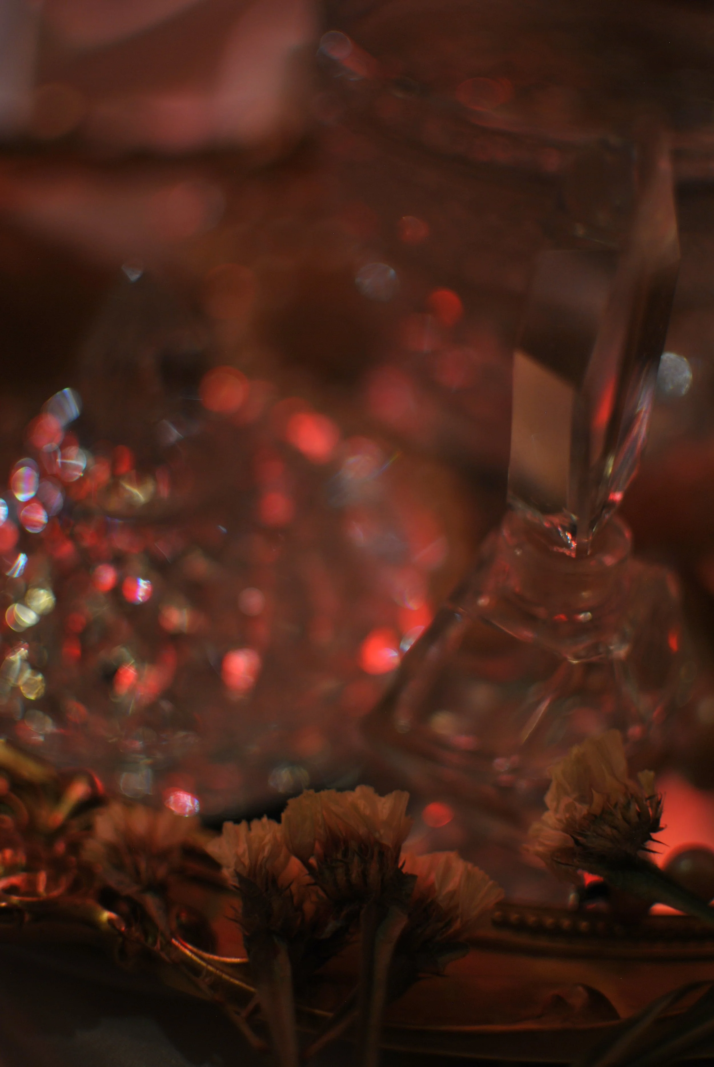 DSC_2610 2.jpeg