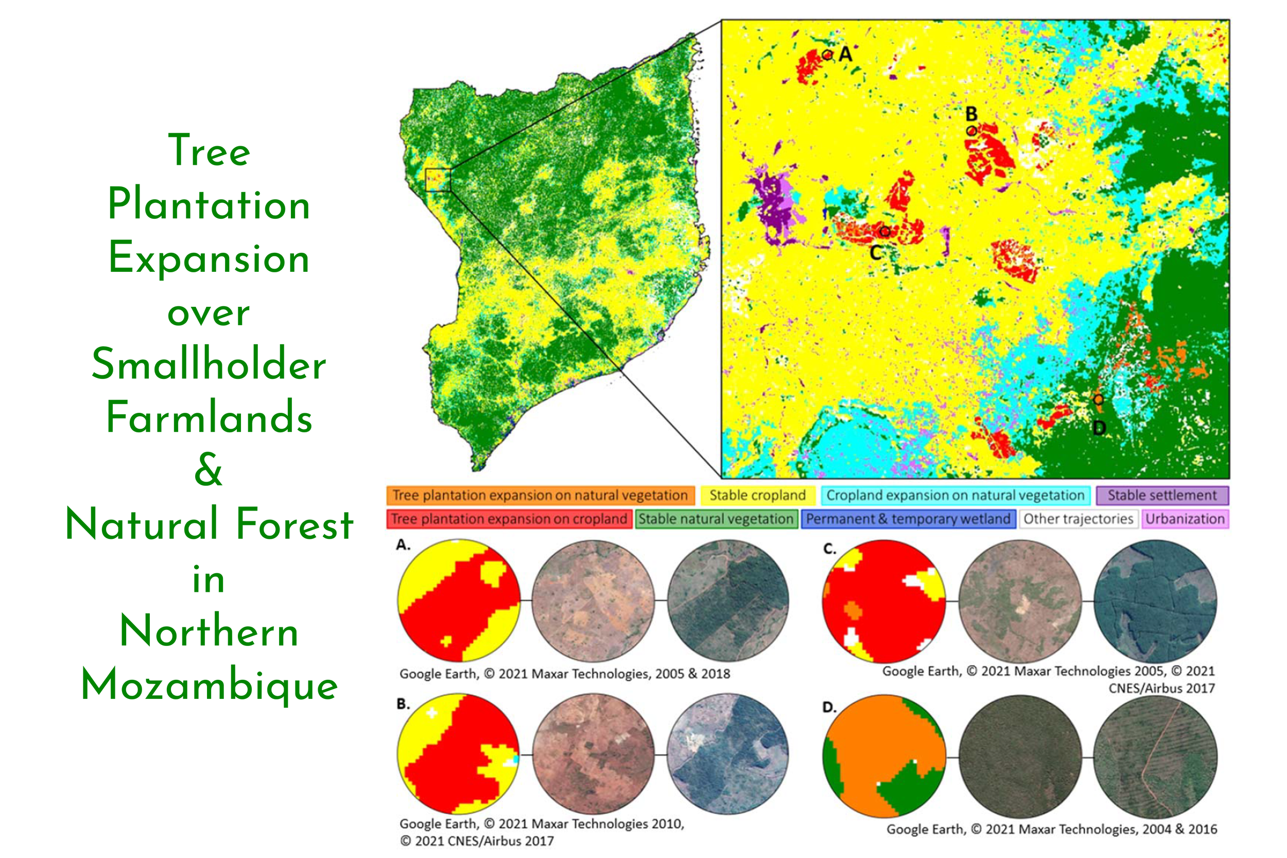 Improved Land Monitoring to Assess Large-scale Tree Plantation Expansion and Trajectories in Northern Mozambique