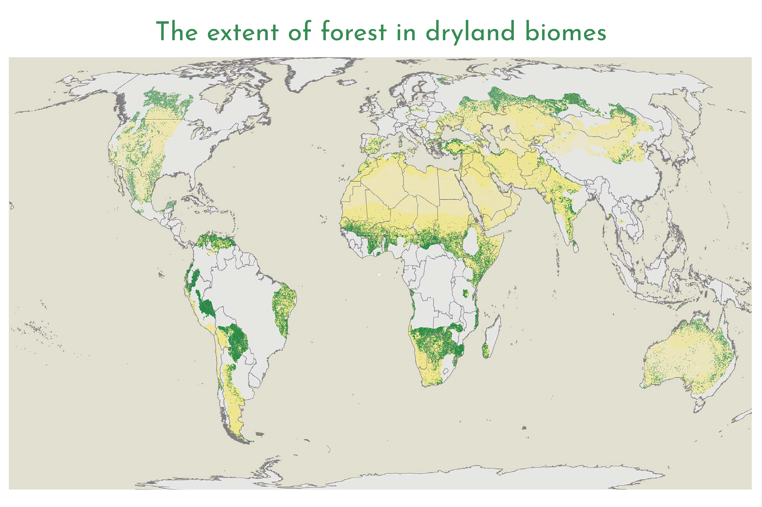 The Extent of Forest in Dryland Biomes