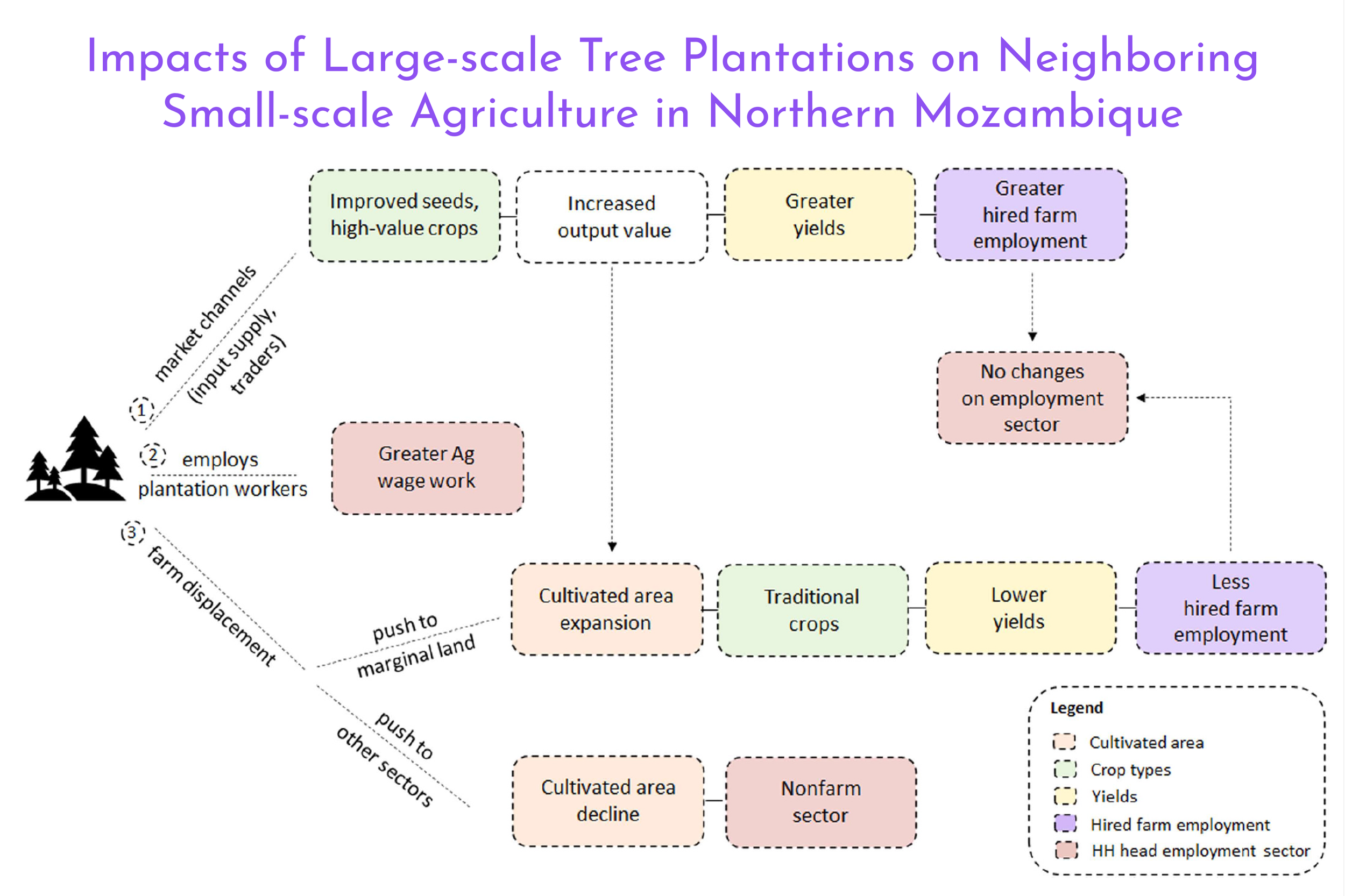 Impacts of large-scale forestry investments on neighboring small-scale agriculture in northern Mozambique