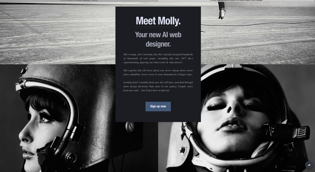 MeetMolly.png