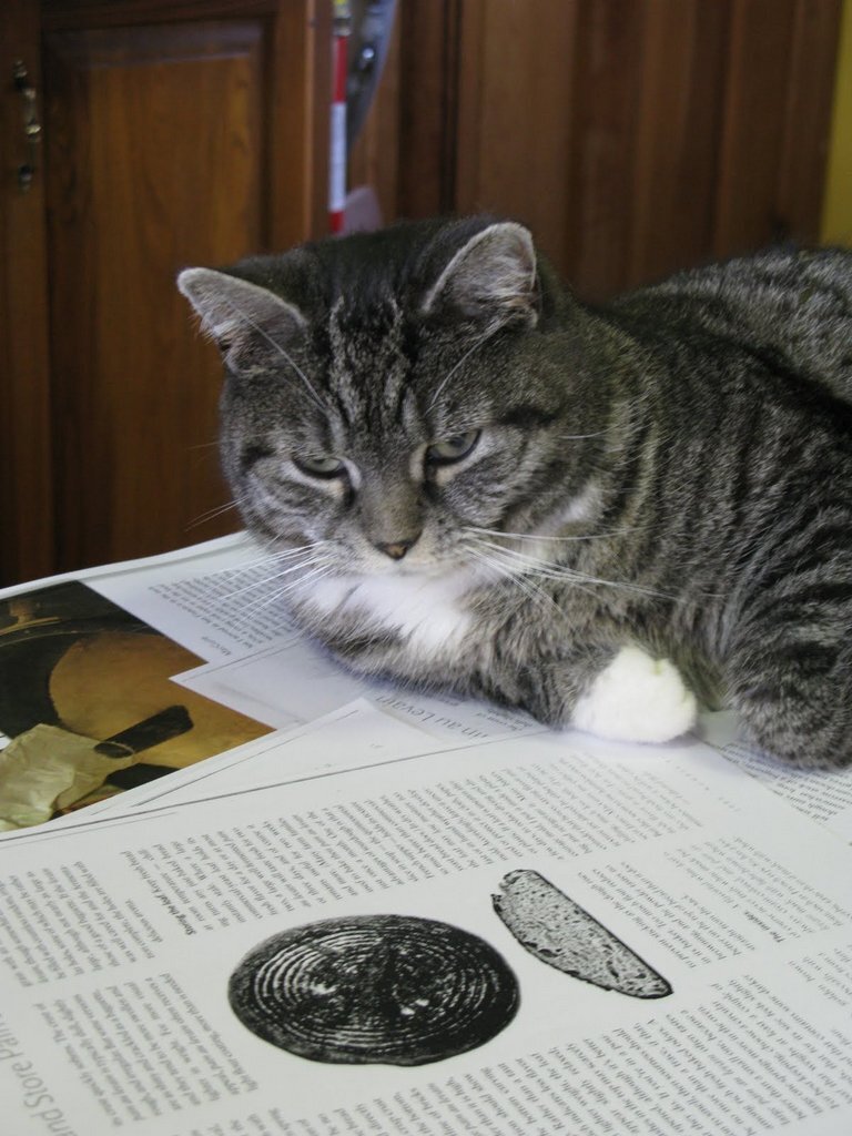 Pepper considers hearth diameter in relationship to the oven's boules capacity.