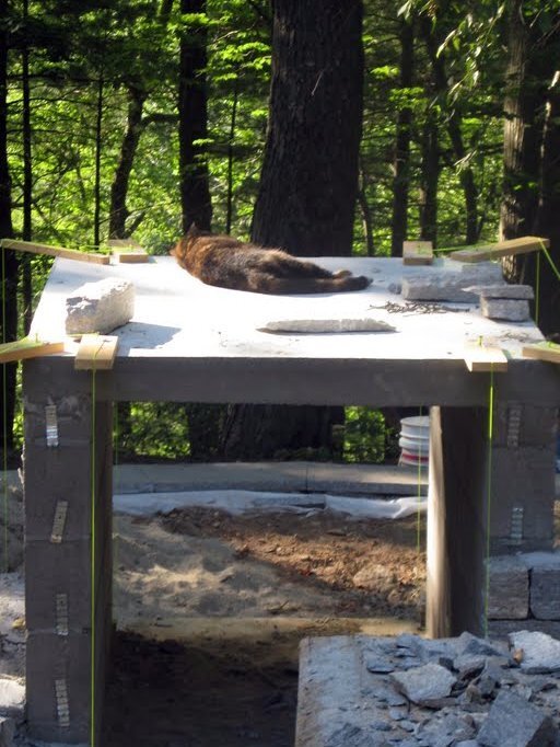 Like the cats who bask in Rome's Colosseum, Cinnamon enjoys the oven construction site for her siesta.