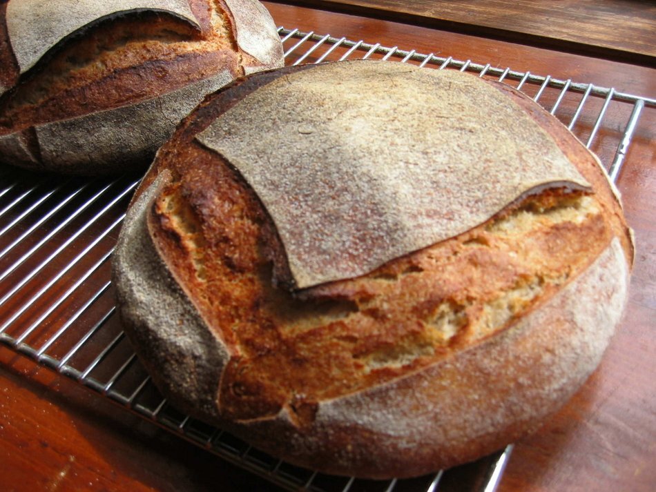 Rustic Multigrain Boules