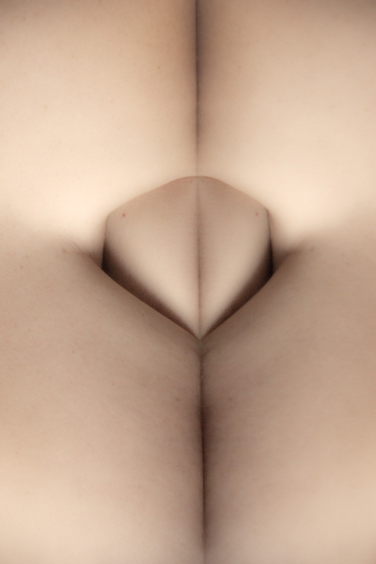 Folded_1 Dagmar Höss 2024.jpg