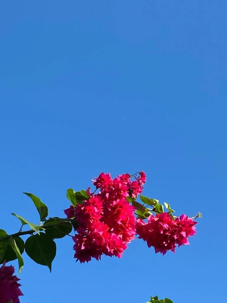Tiefer Frieden