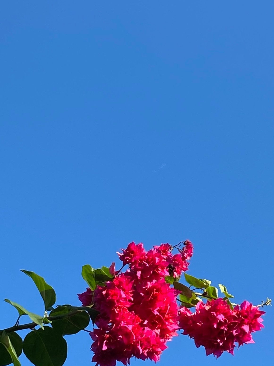 Meditation „Lebe deinen Reichtum”