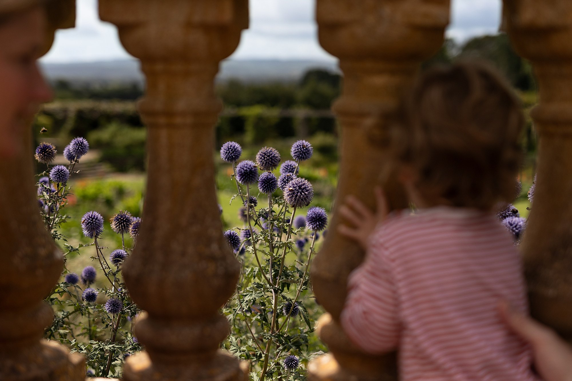 Somerset Family Photographer_0166.jpg