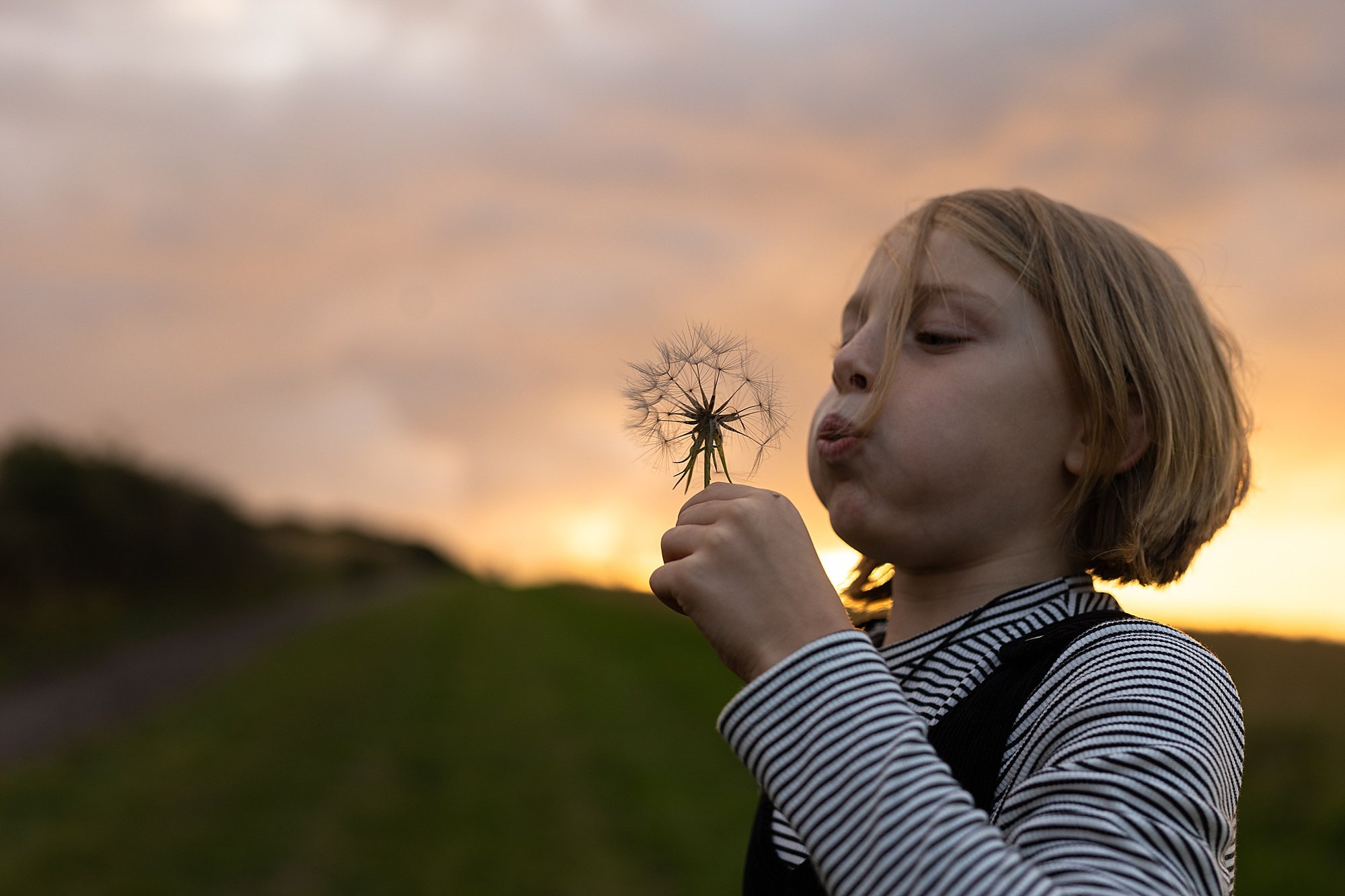 Somerset Family Photographer_0056.jpg