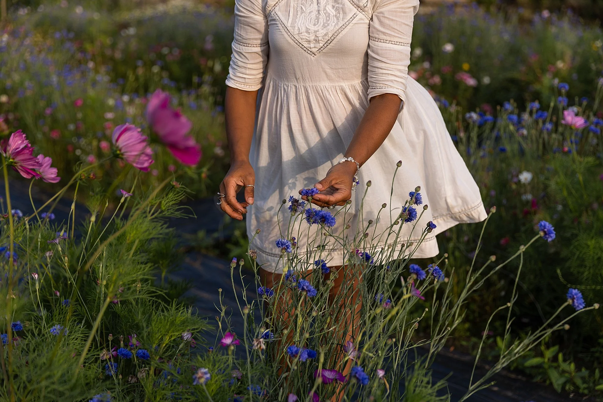 Somerset Brand Photographer_0176.jpg