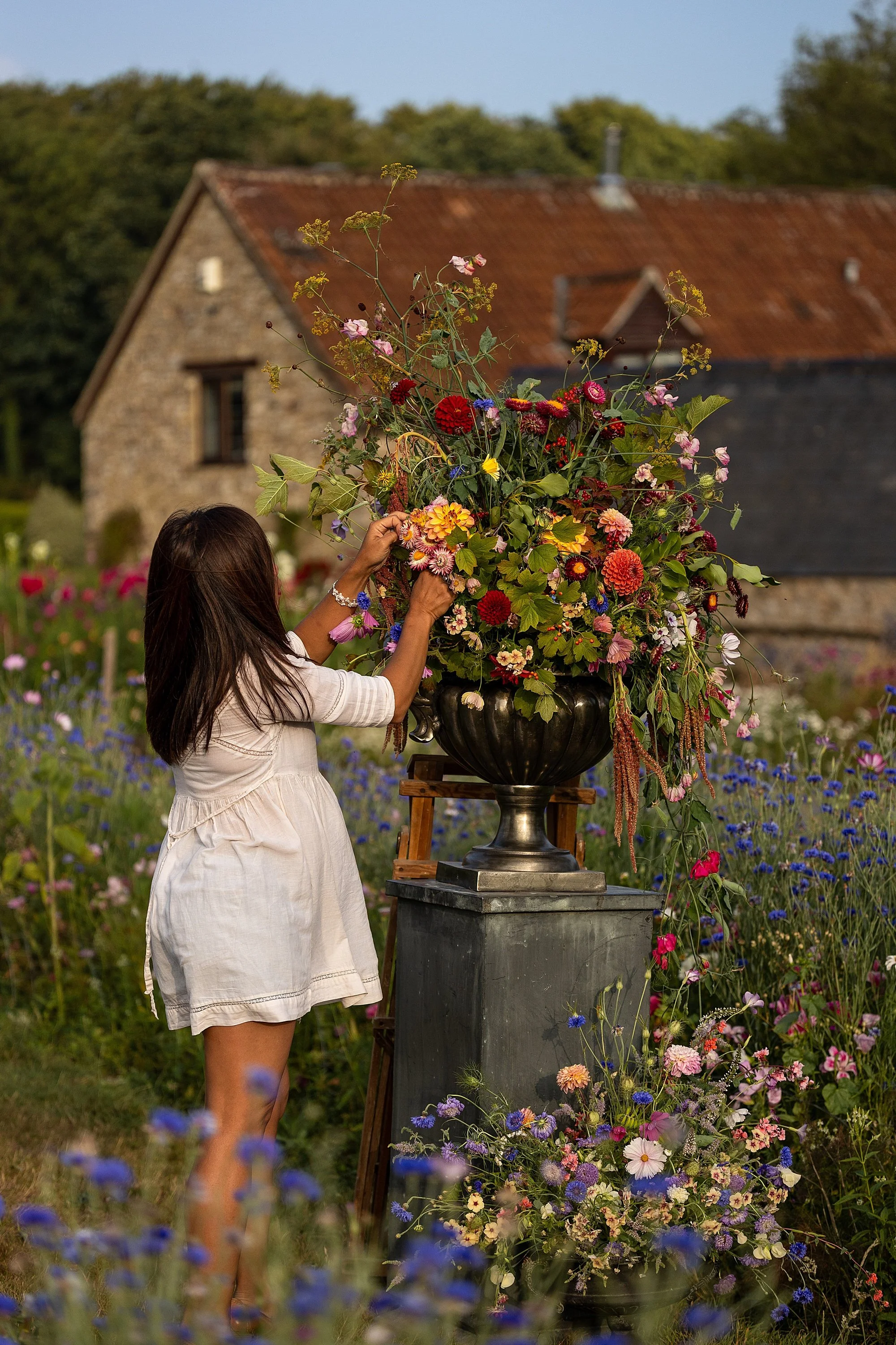 Somerset Brand Photographer_0185.jpg