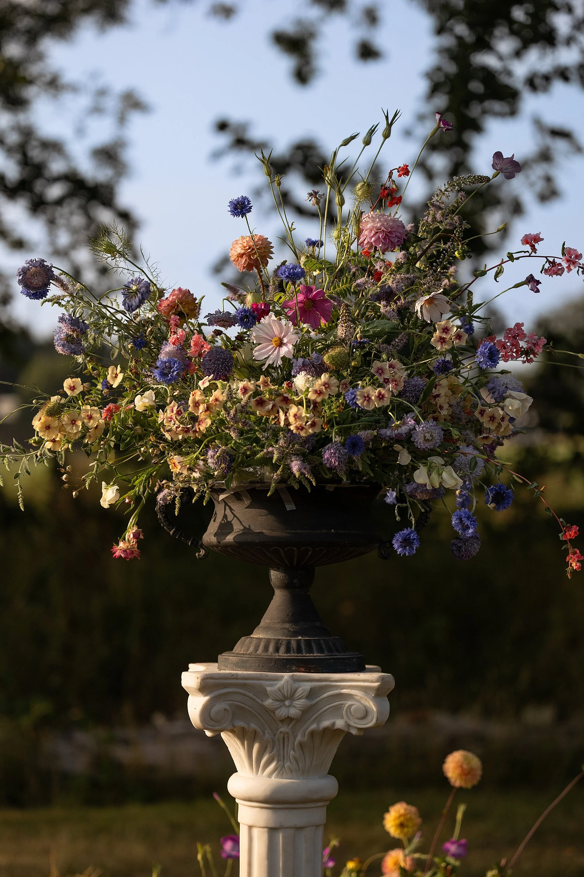 Somerset Brand Photographer_0197.jpg