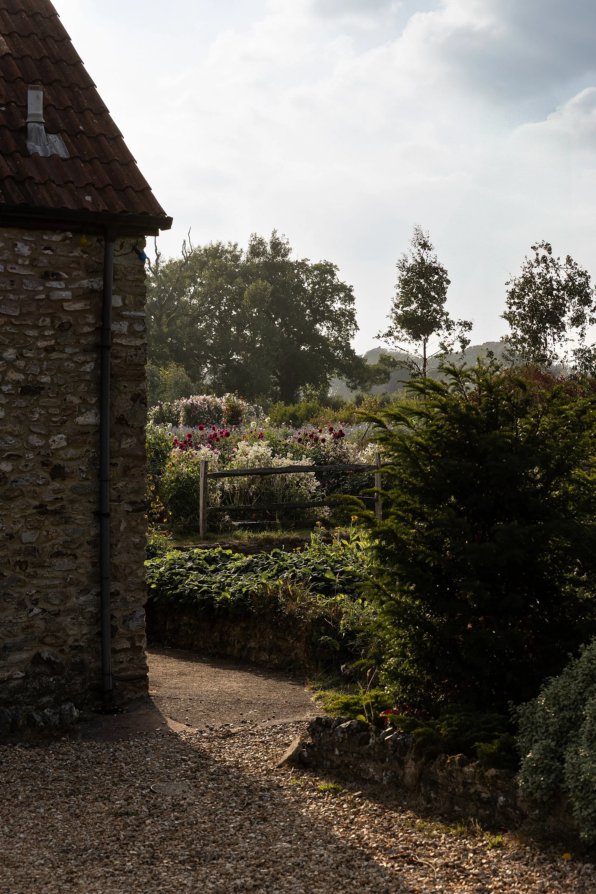 Somerset Brand Photographer_0210.jpg