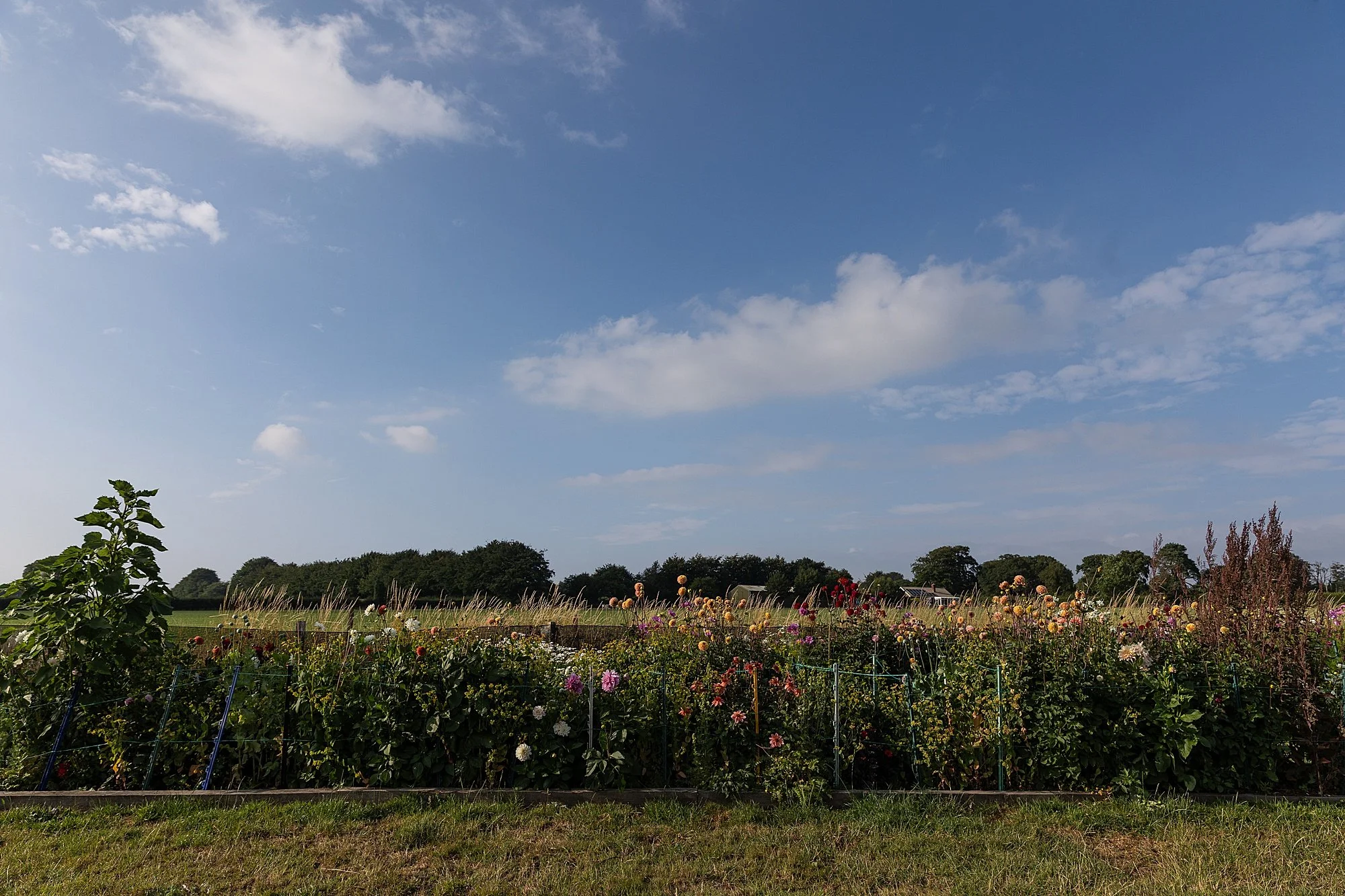 Somerset Brand Photographer_0220.jpg