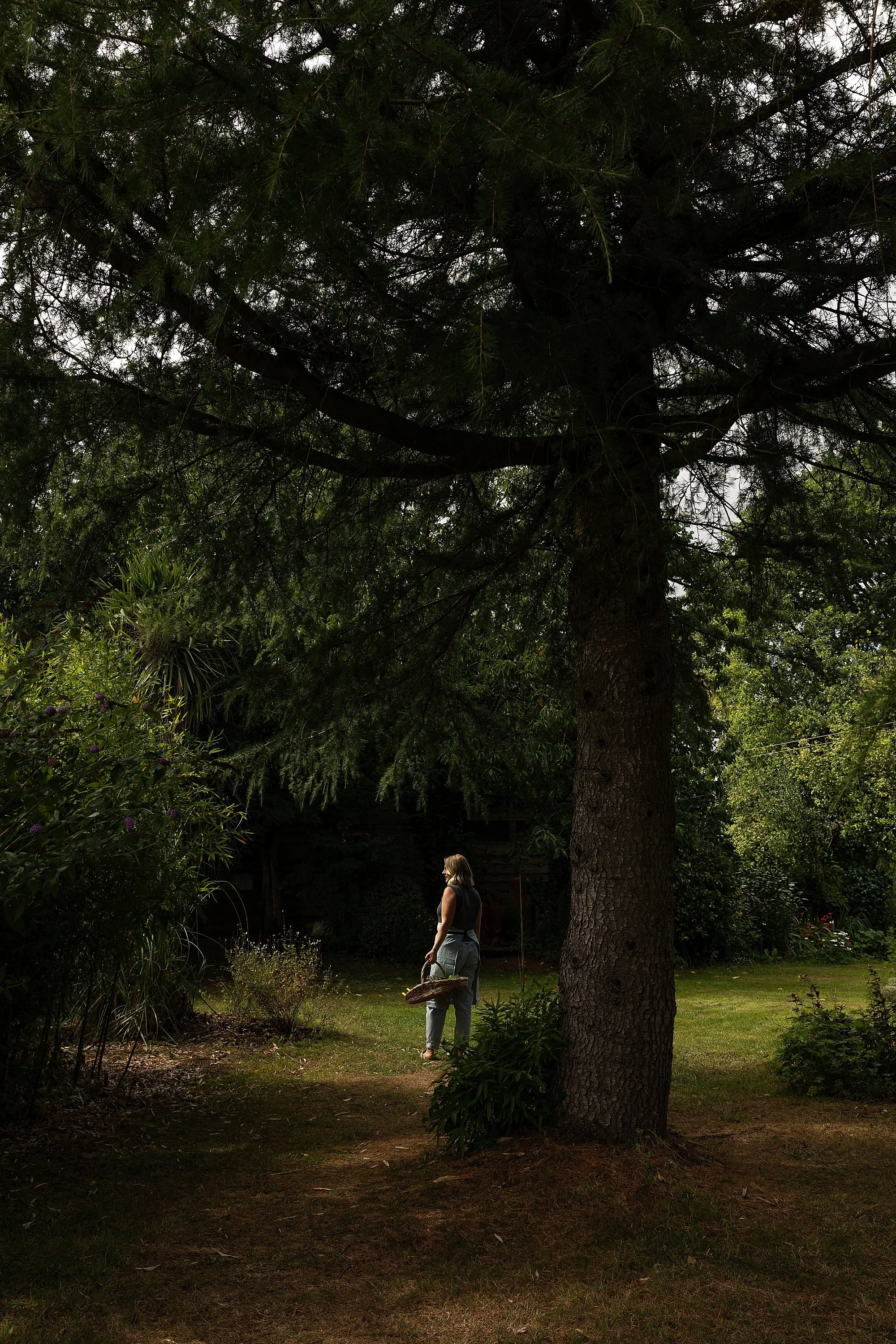 Somerset Brand Photographer_0262.jpg