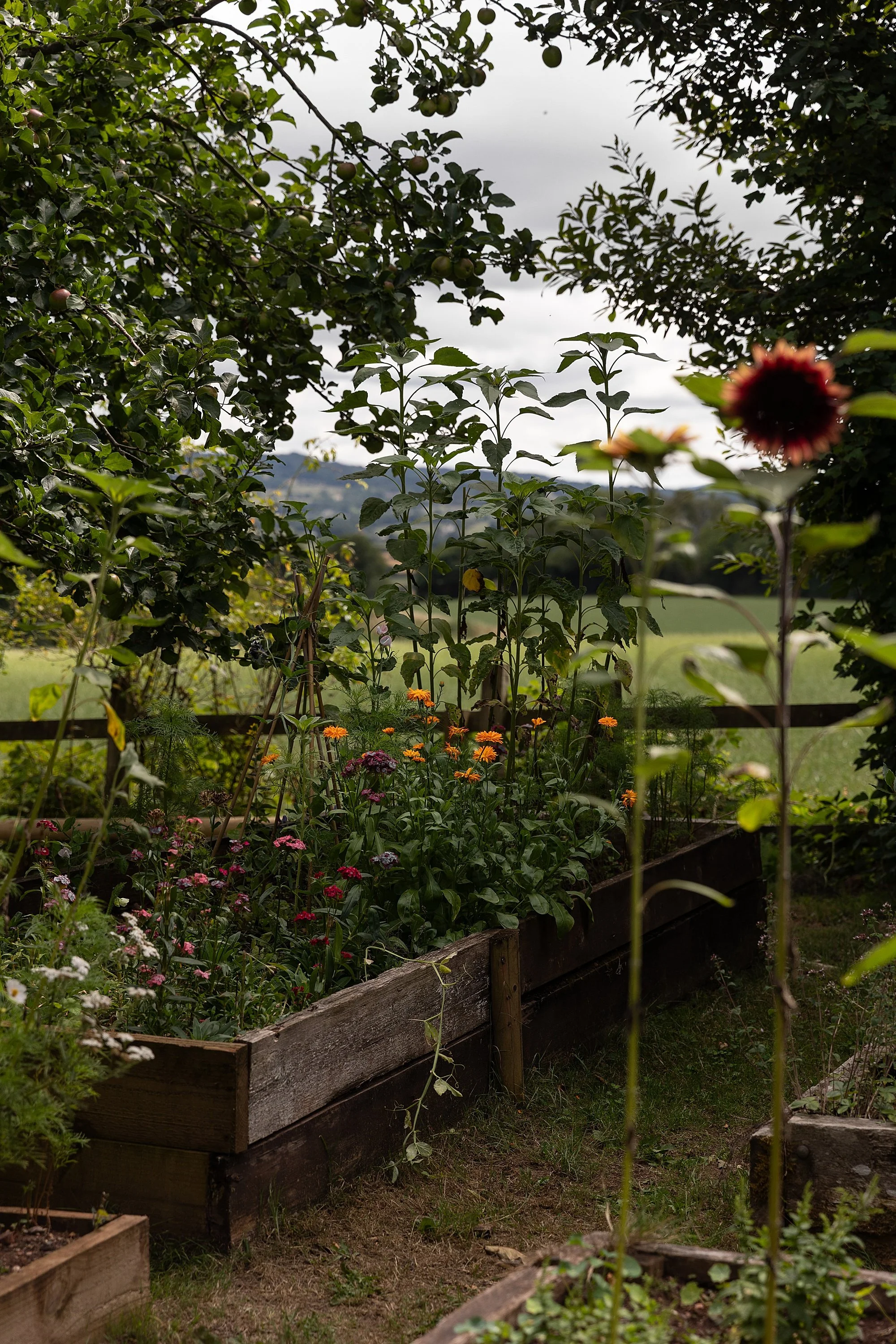 Somerset Brand Photographer_0263.jpg