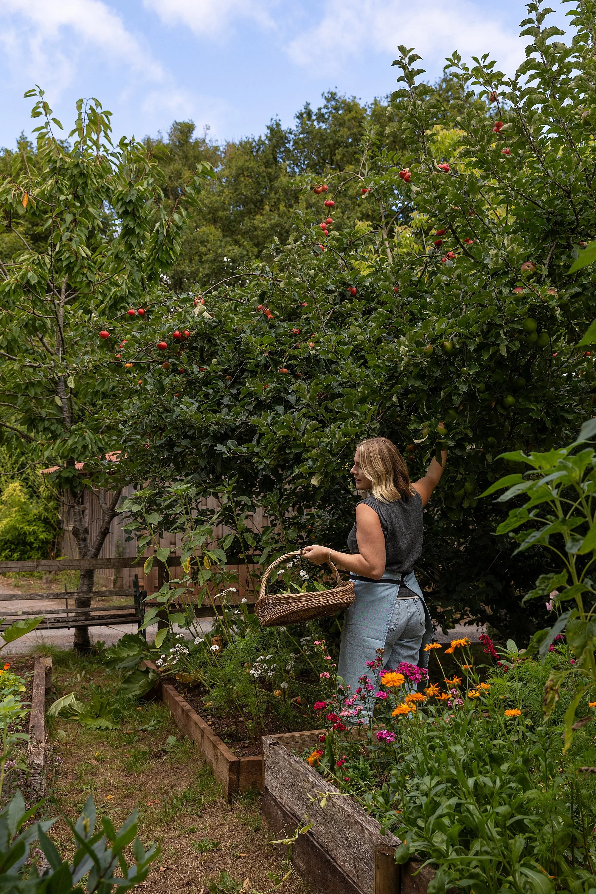 Somerset Brand Photographer_0268.jpg