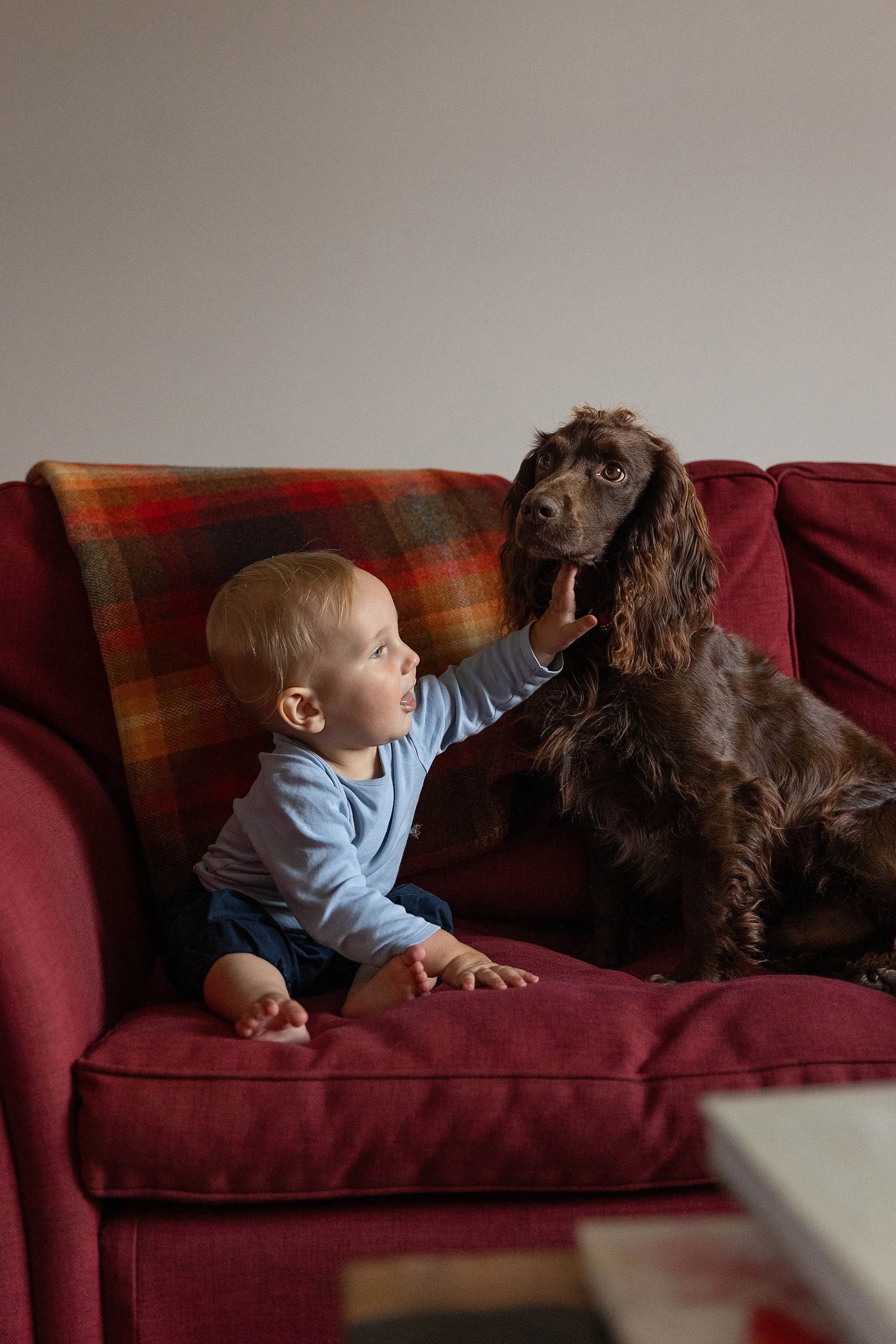 Somerset Family Photographer_0027.jpg
