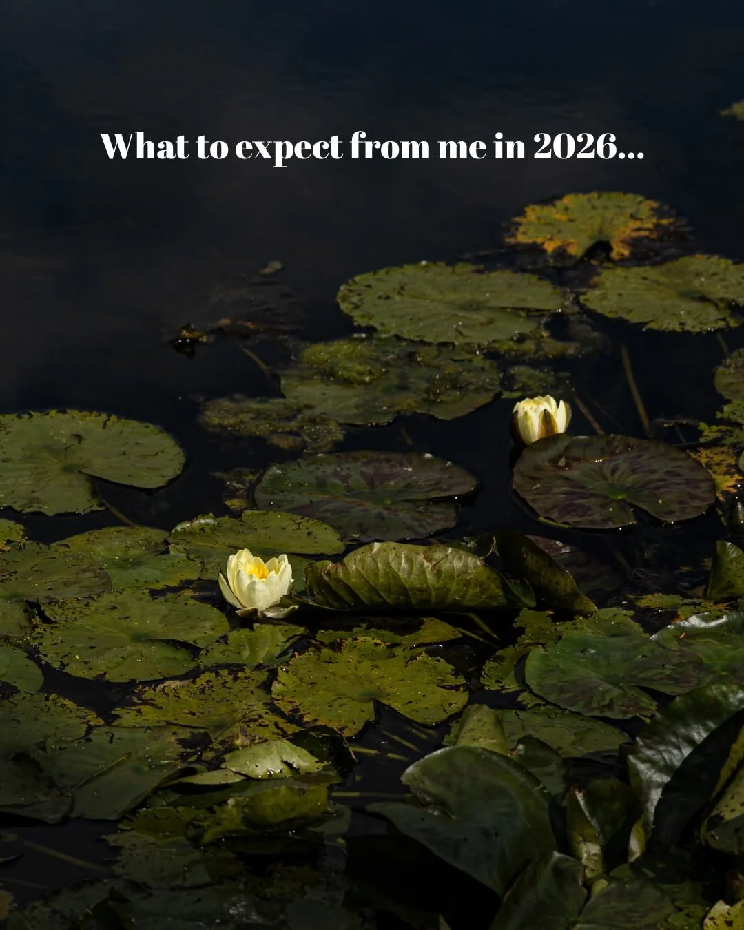 This year&hellip;I feel good about it. Don&rsquo;t you?
I want to continue with what I&rsquo;m proud of, grow a little more and keep working with like minded people.
There&rsquo;s so much good in the world.
And my goodness&hellip;the beauty!
Communit