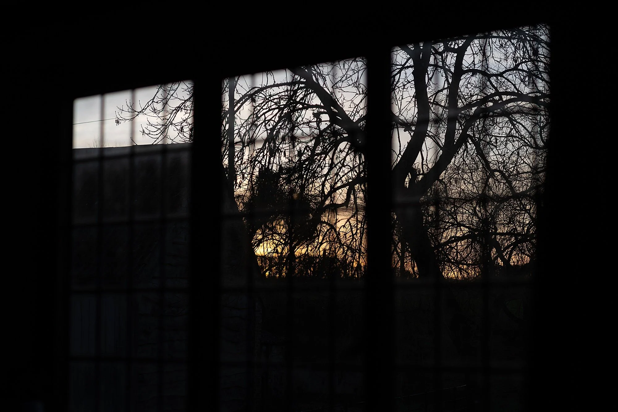 Somerset Brand Photographer_0035.jpg