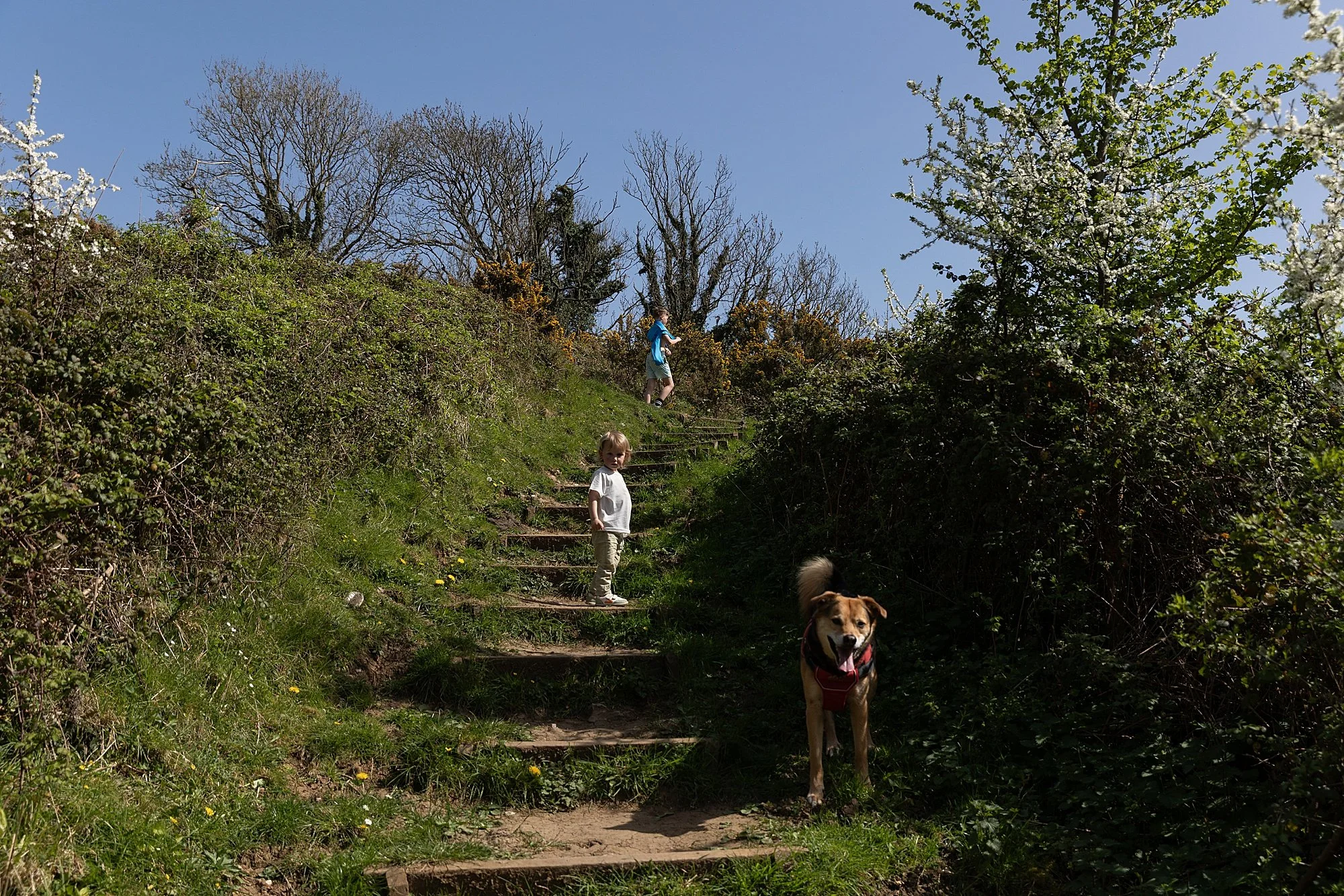 Somerset Family Photographer_0001.jpg