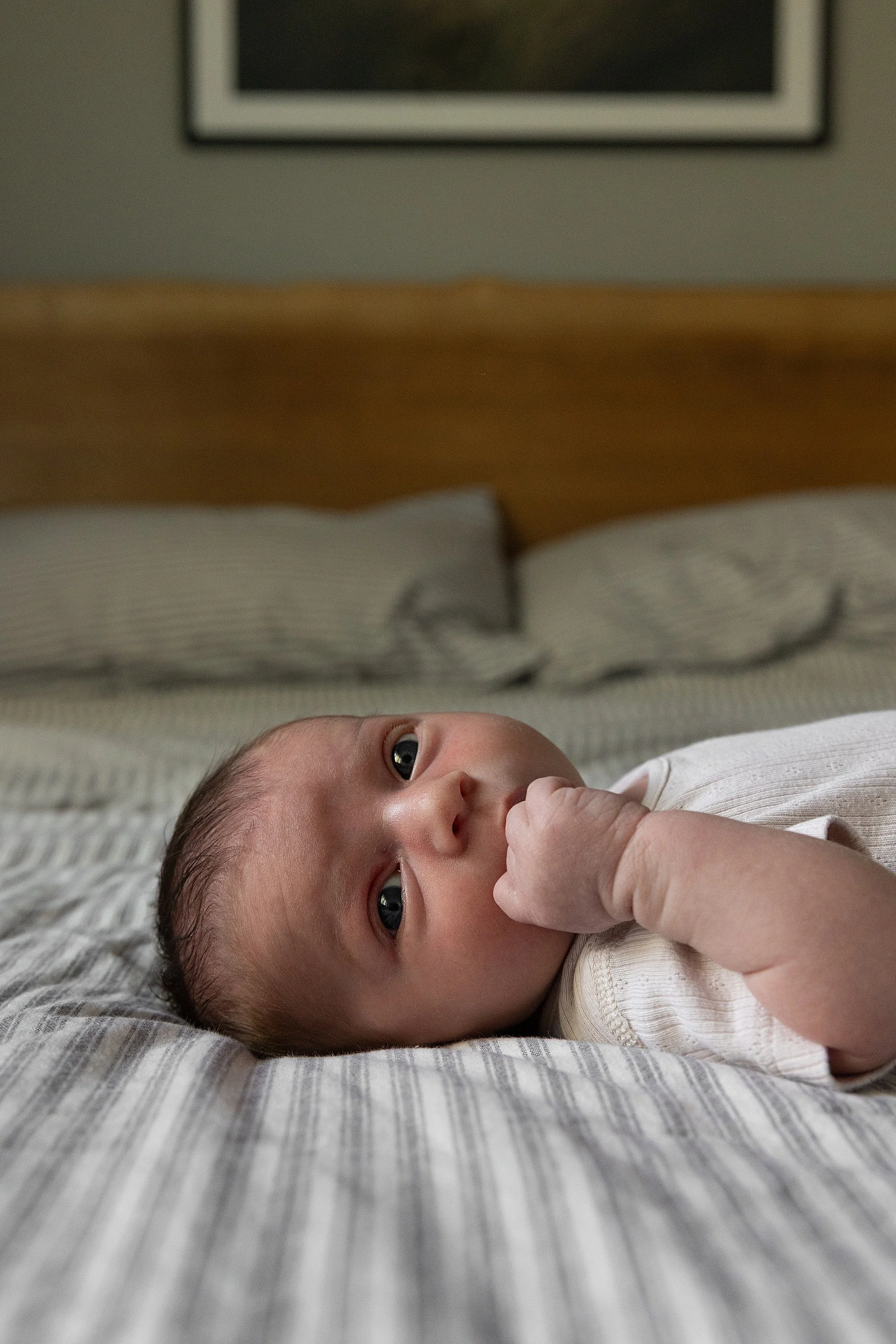 Somerset Family Photographer_0015.jpg