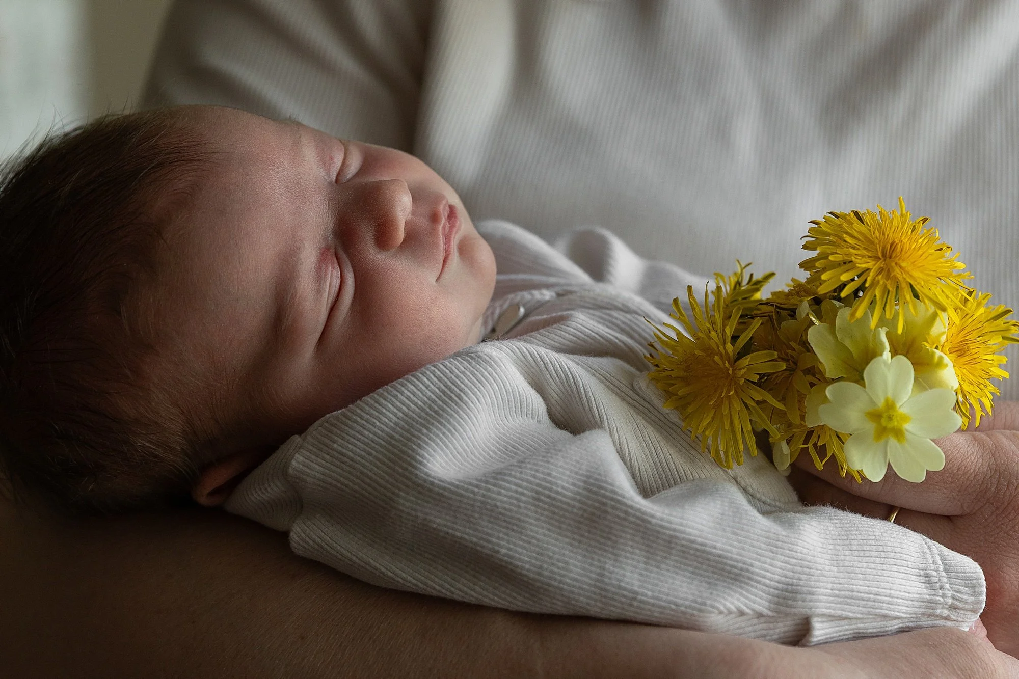 Somerset Family Photographer_0025.jpg