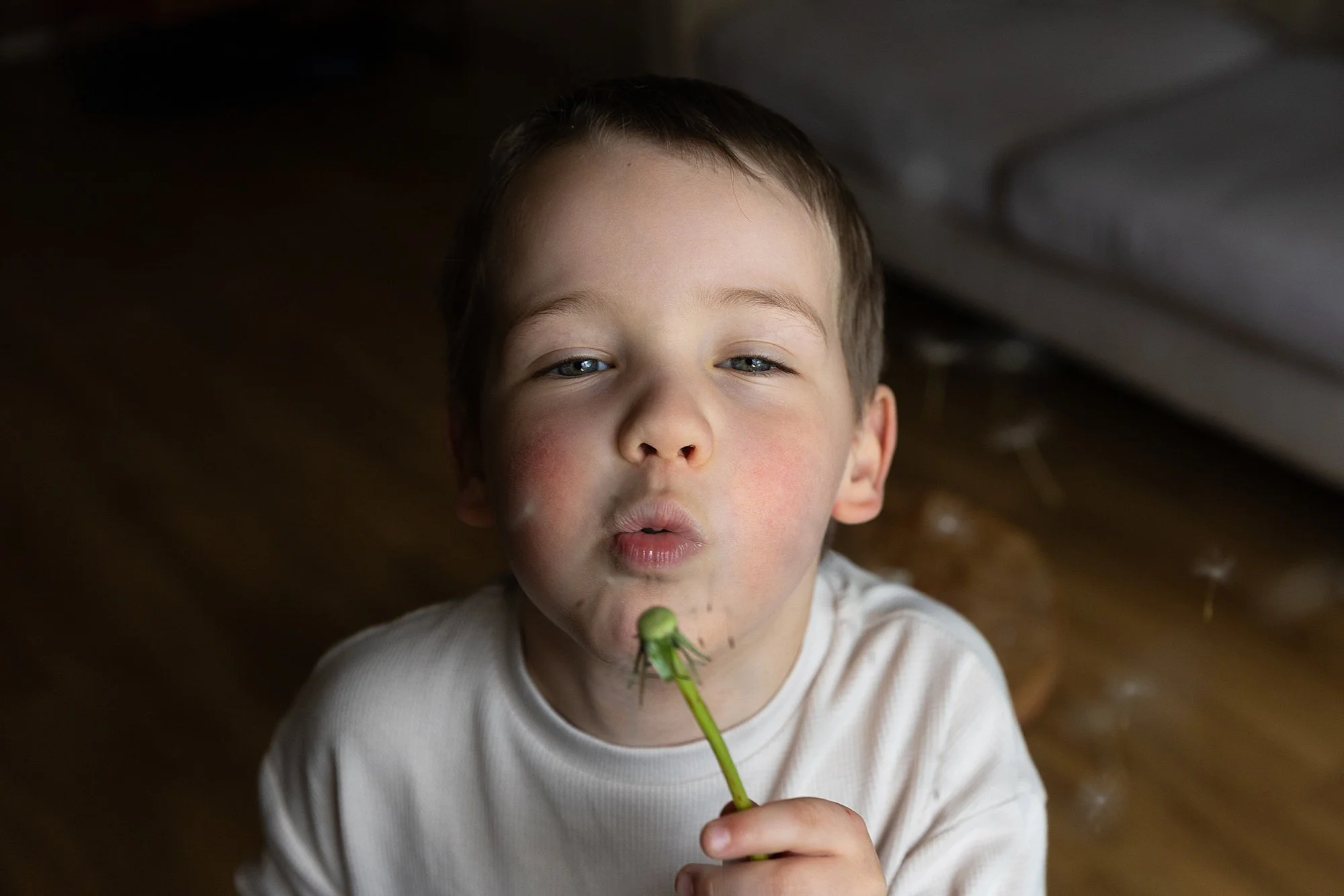 Somerset Family Photographer_0027.jpg