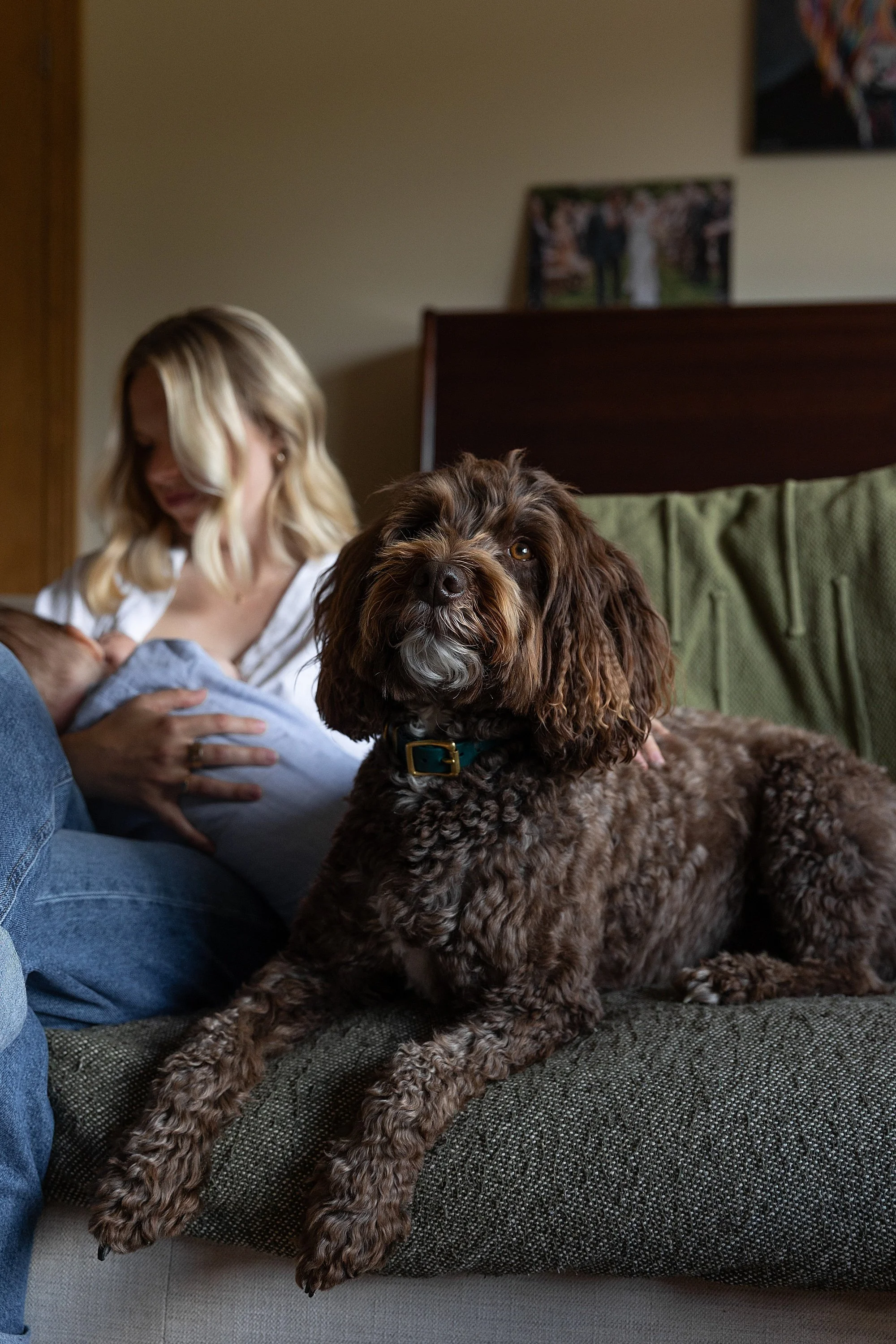 Somerset Family Photographer_0022.jpg