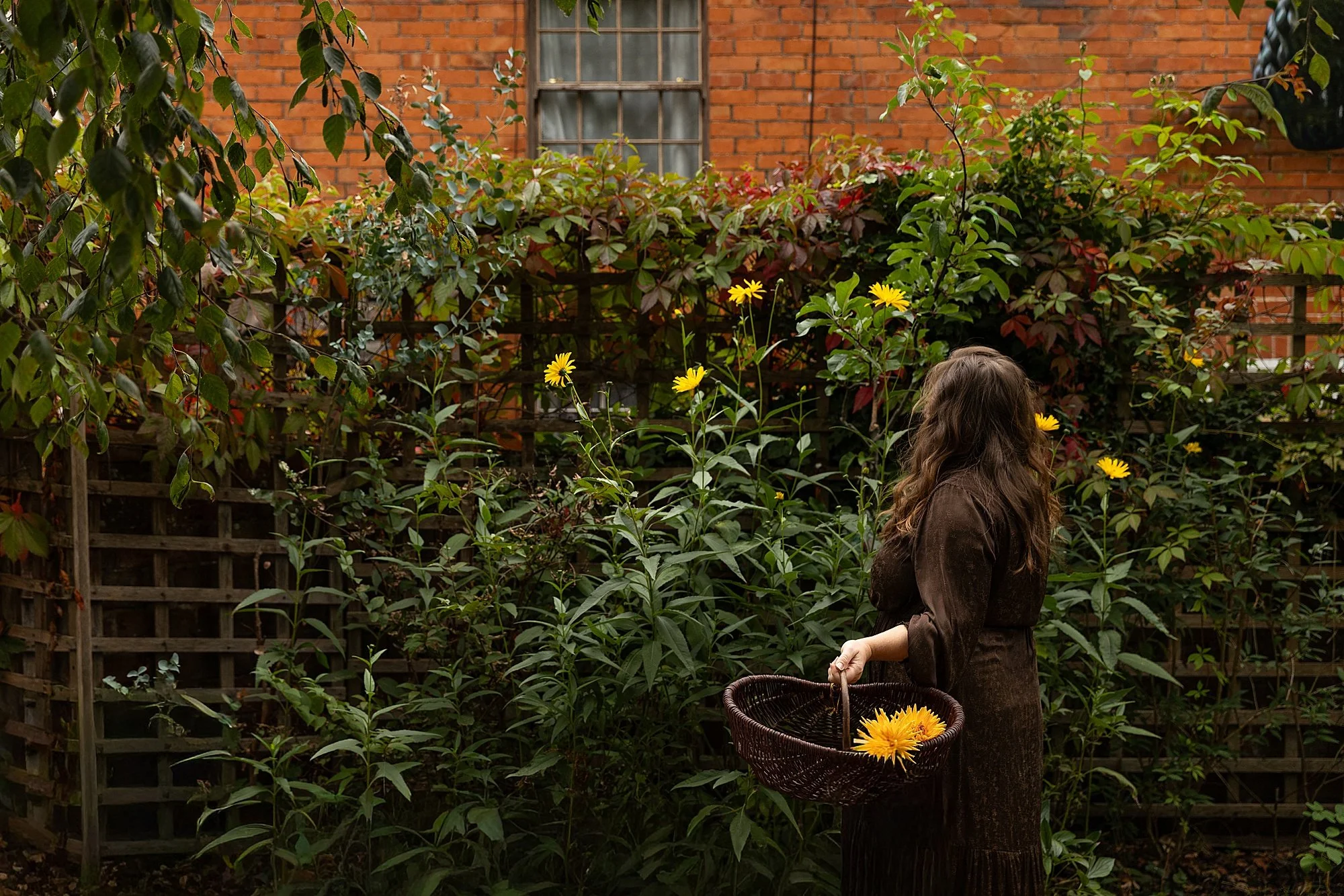Somerset Brand Photographer_0094.jpg