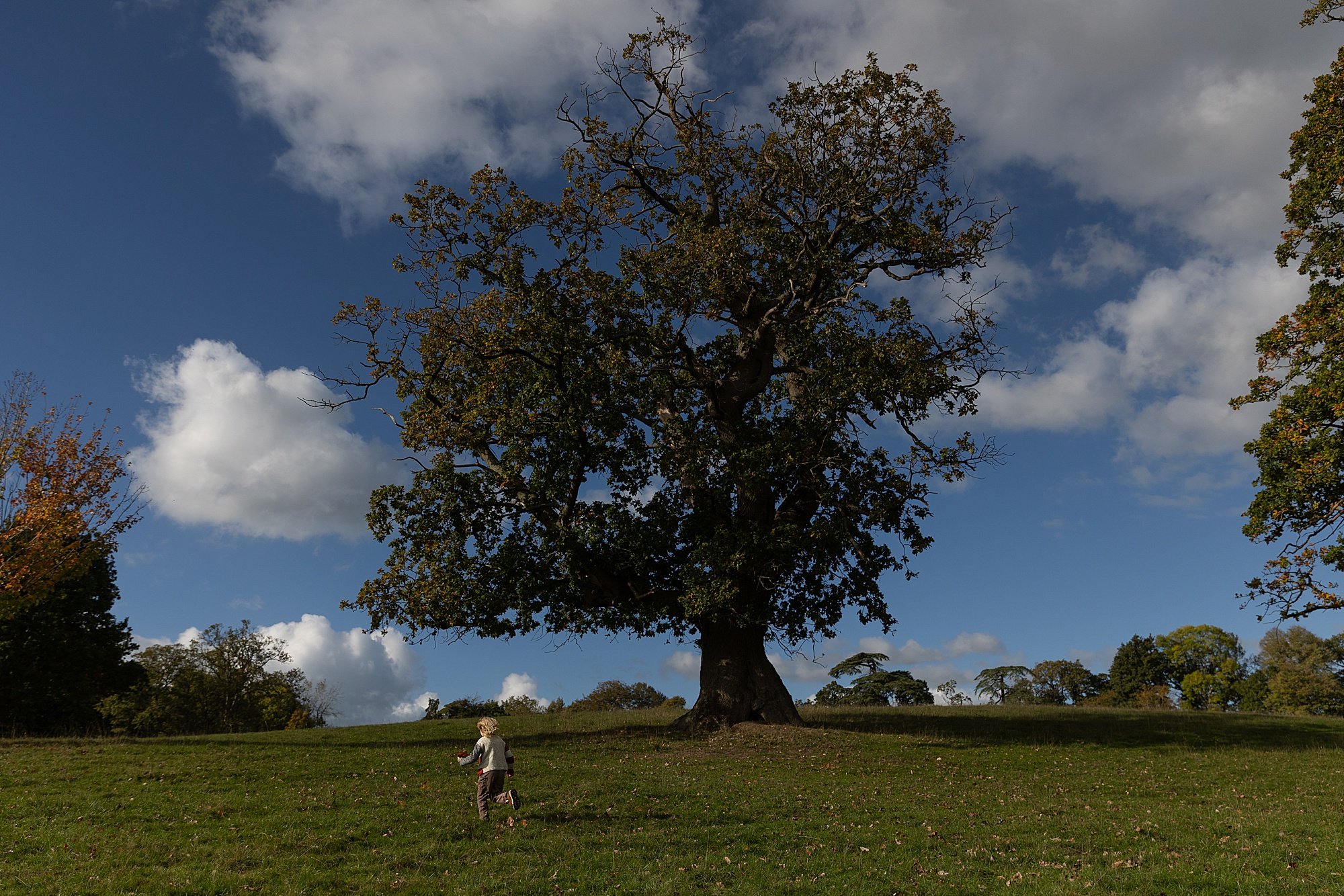Somerset Family Photographer_0155.jpg