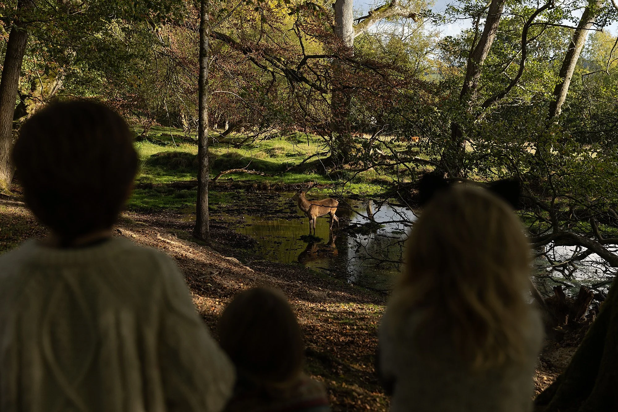 Somerset Family Photographer_0175.jpg