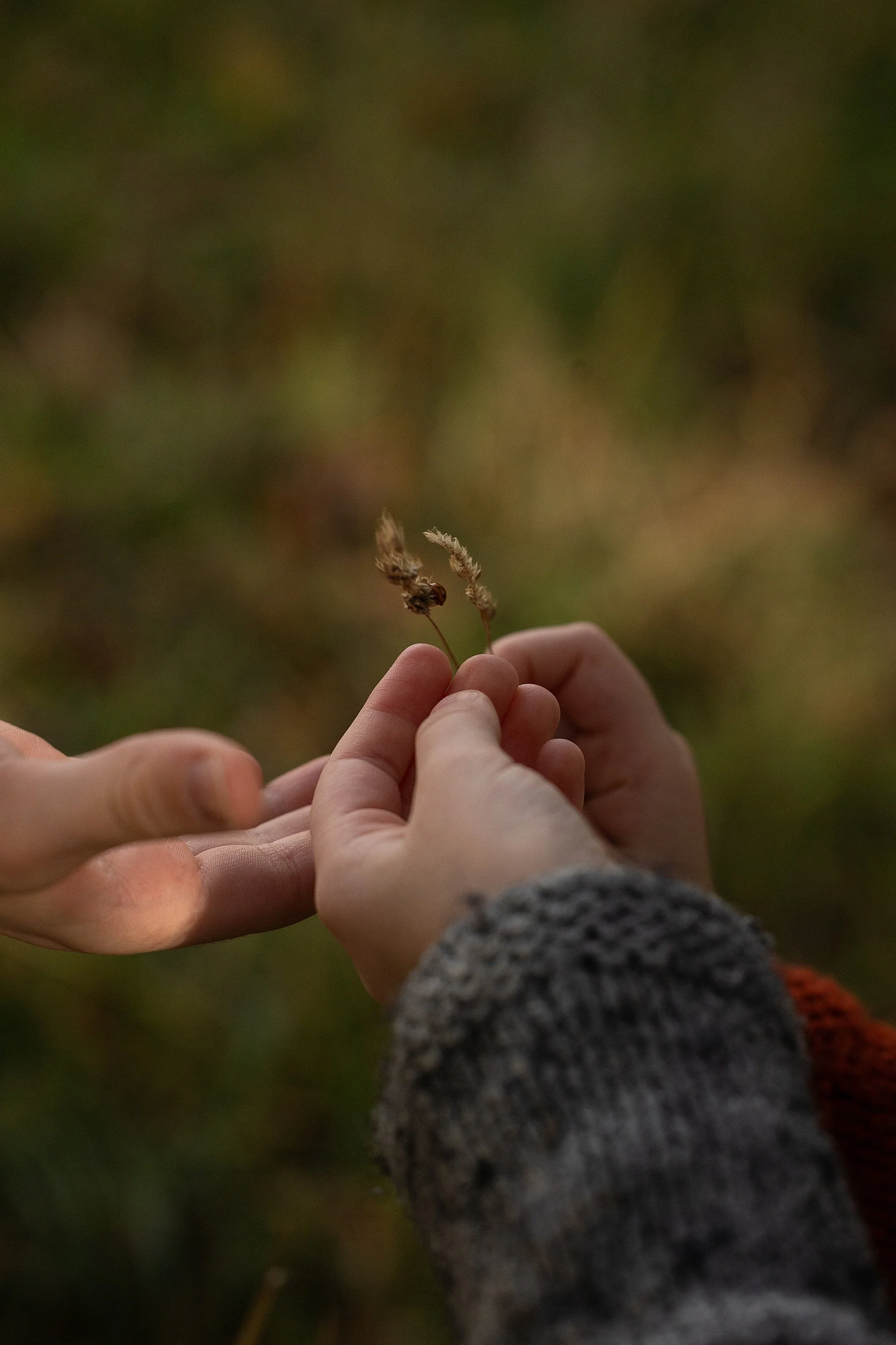 Somerset Family Photographer_0177.jpg