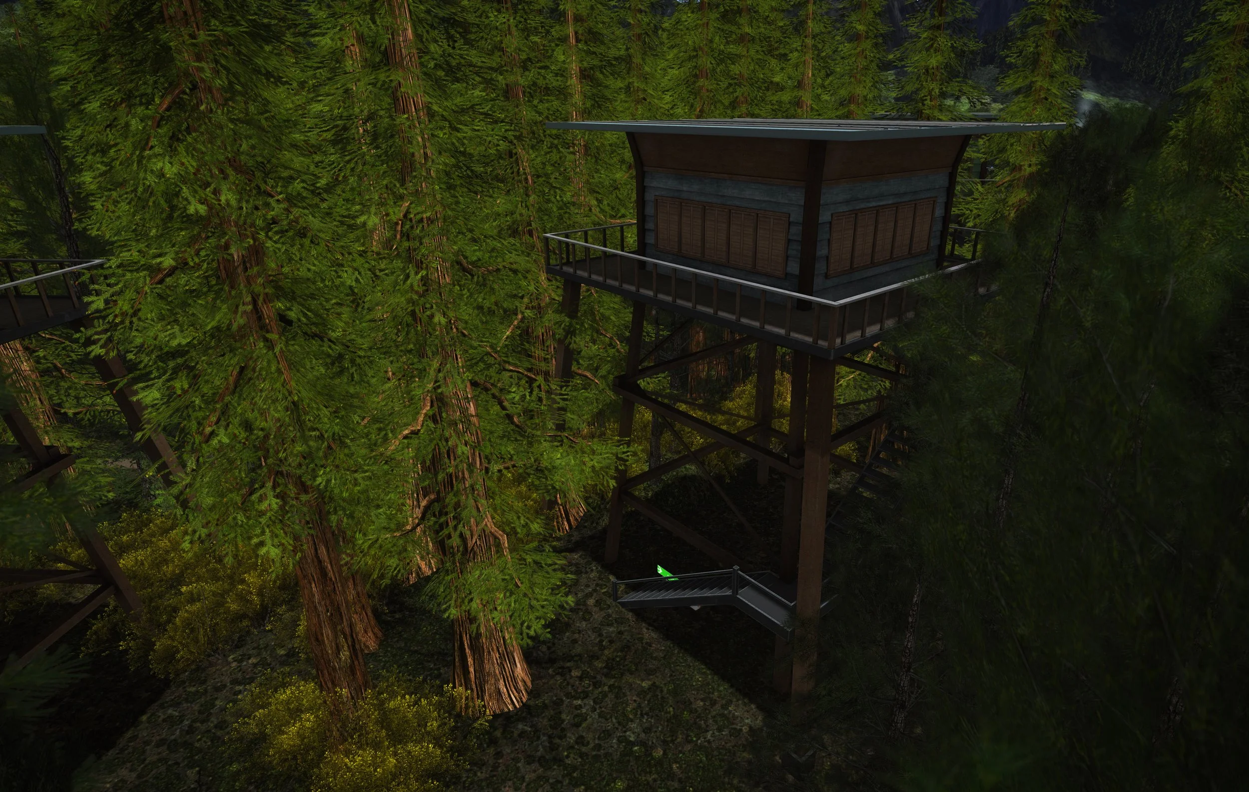 tree house.jpg