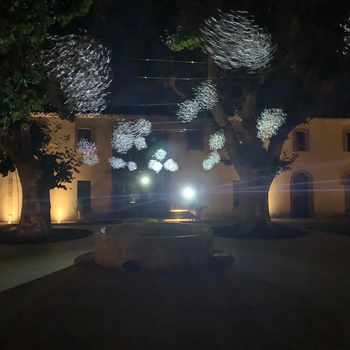 les ambassadrices.jpeg