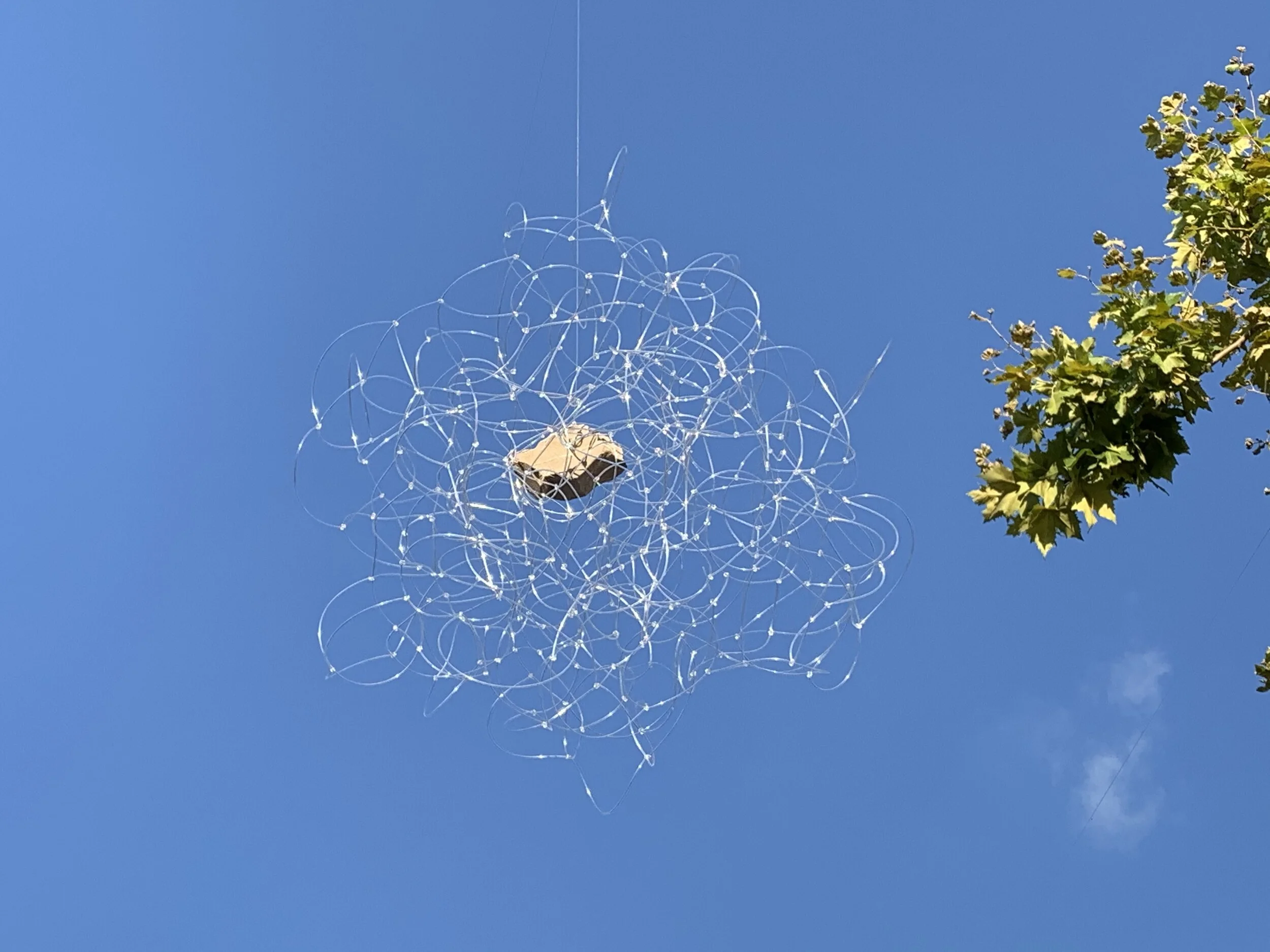 les ambasdsadrices.jpeg