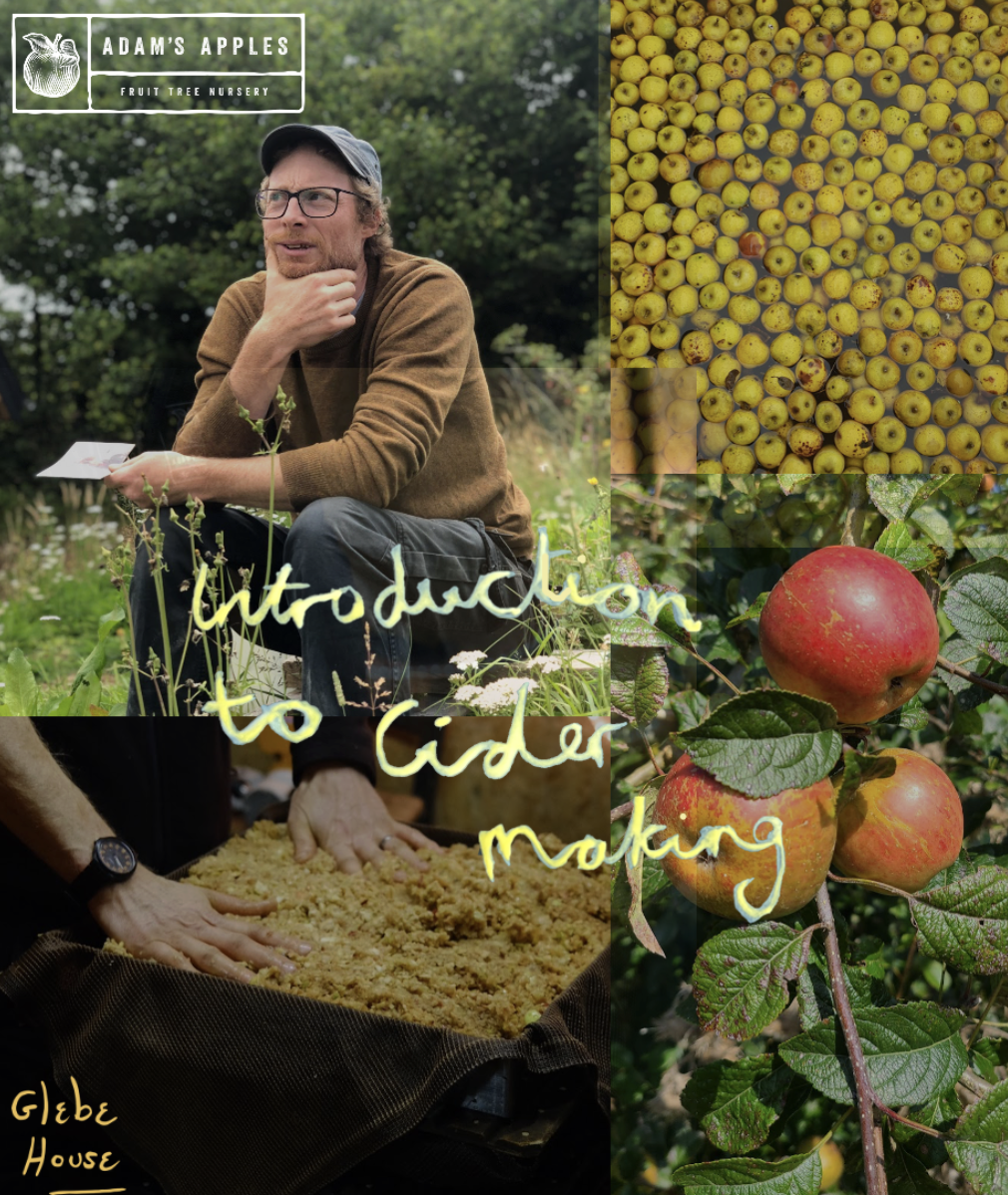 Cider Making with Tom Nancarrow