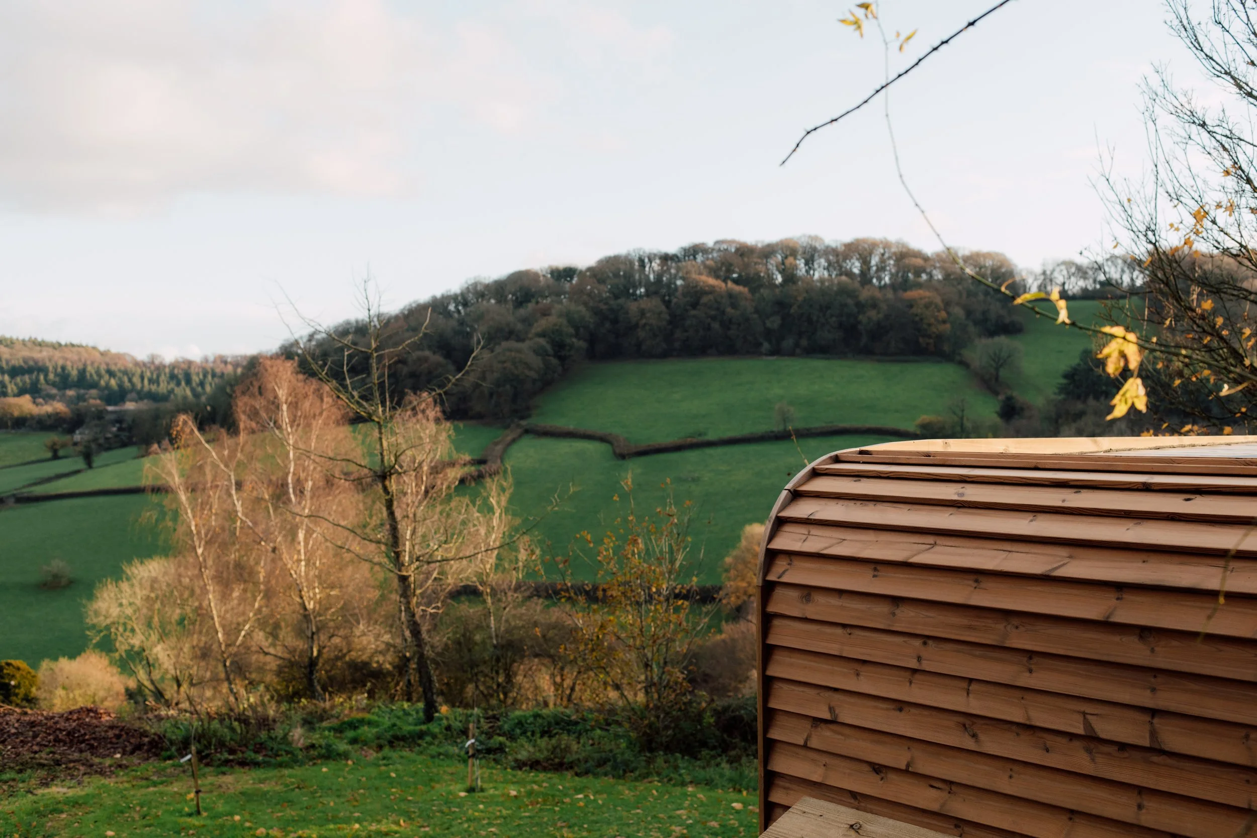 Glebe Cabins - Crows Nest & Sauna-84.jpg